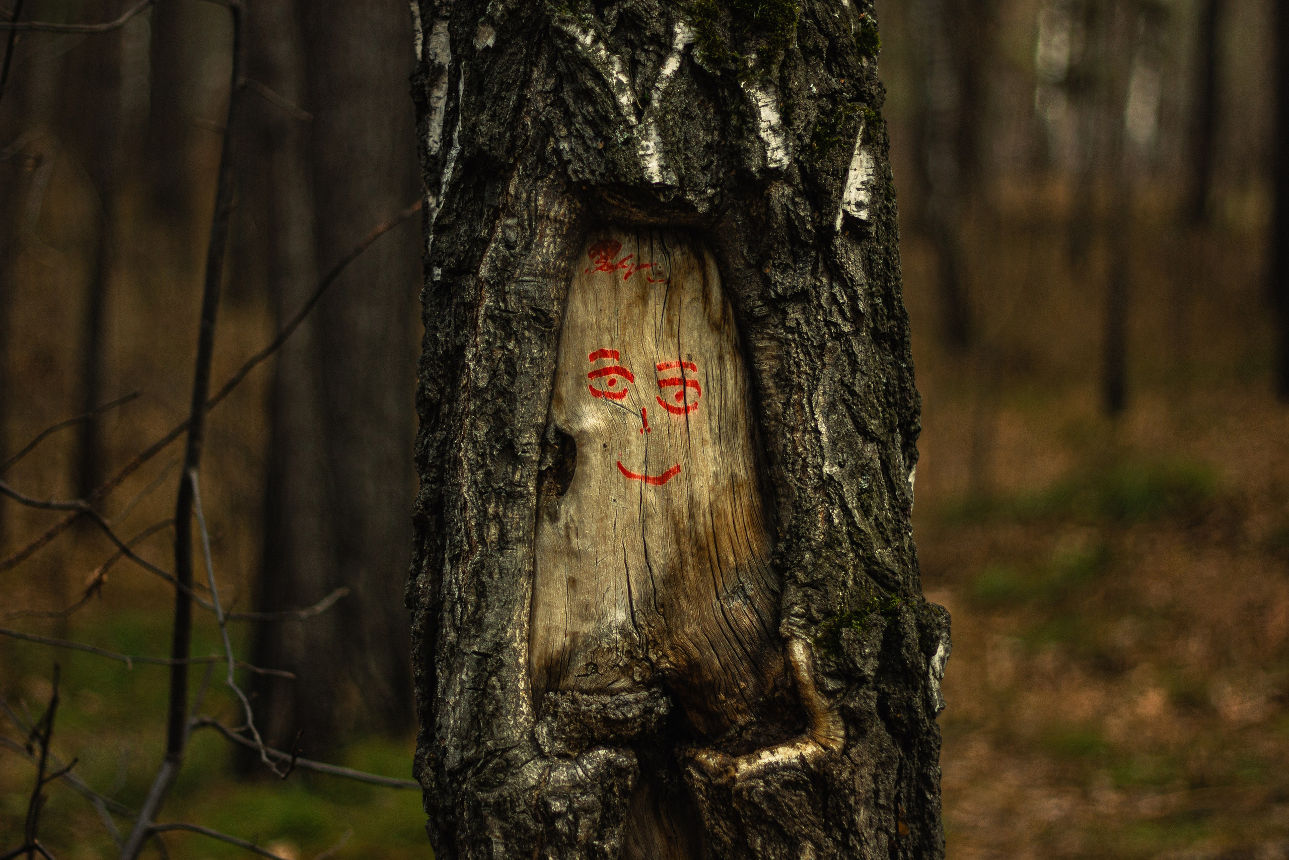 04.11.2024 | Сосновоборск. Kuznetsov | Фотограф в Красноярске