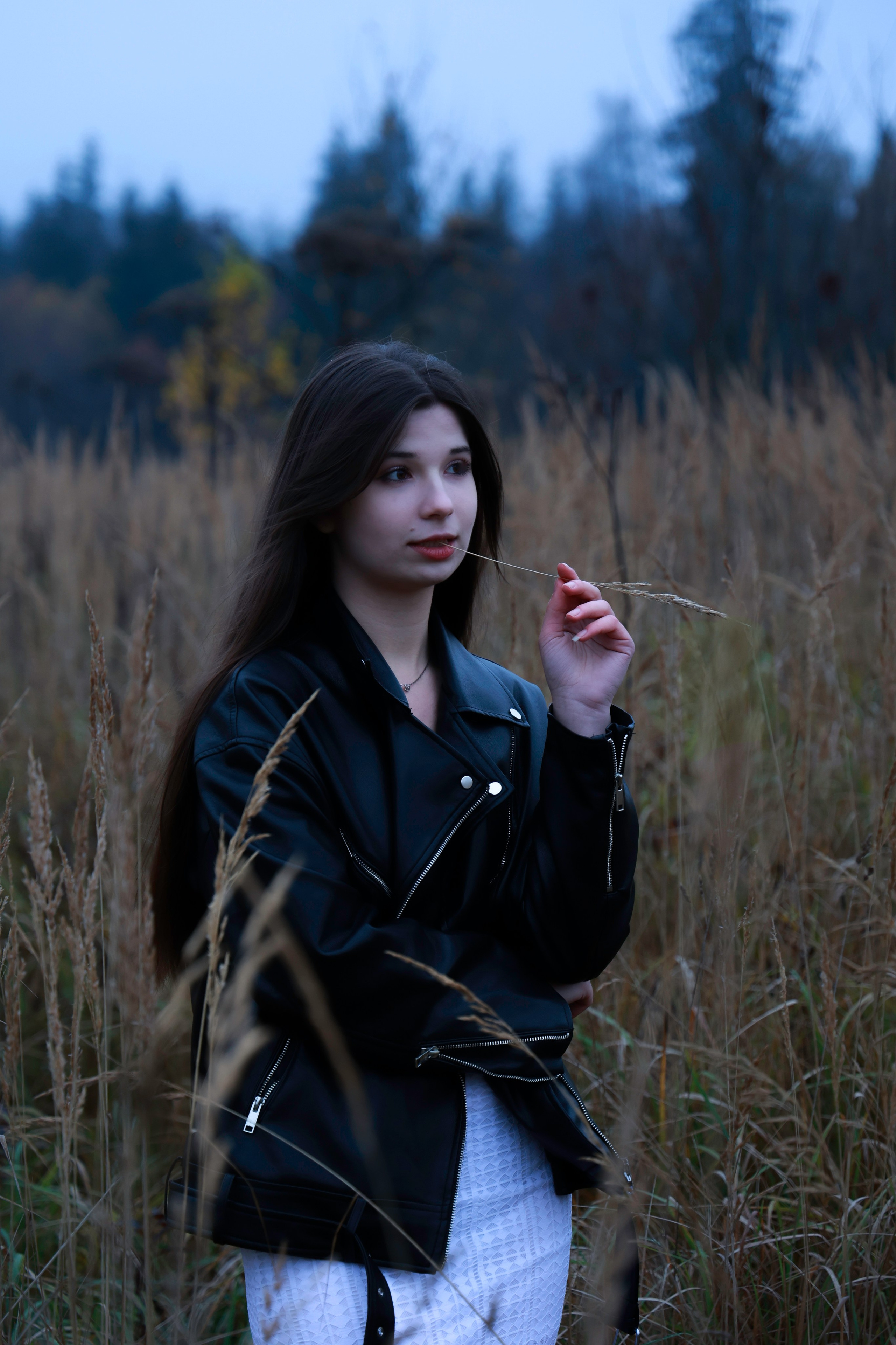 Сумерки. Елизавета Ковалевская — ваш профессиональный фотограф