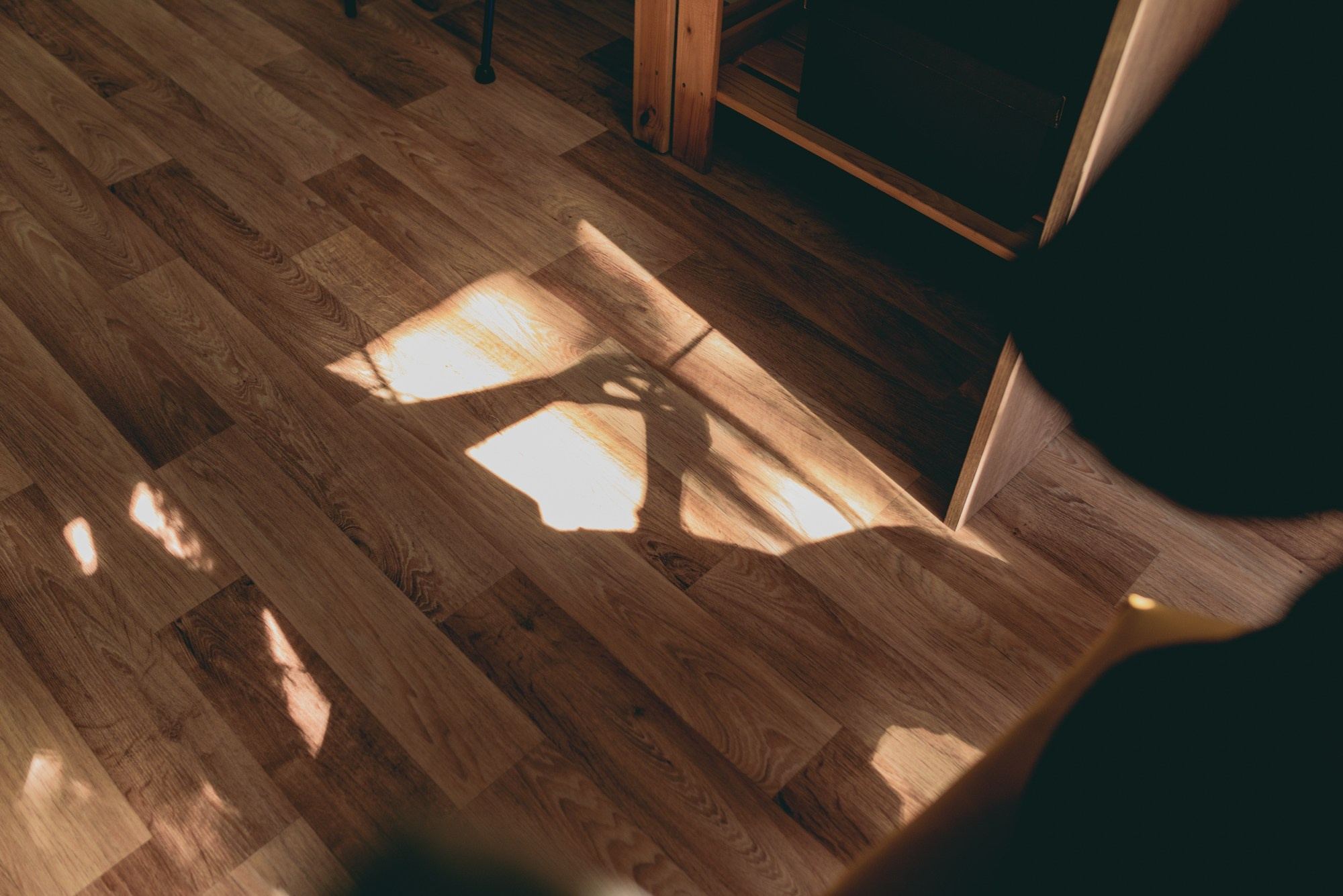 Дредомастер Екатерина. Репортажный и портретный фотограф в Твери Ольга Борисова