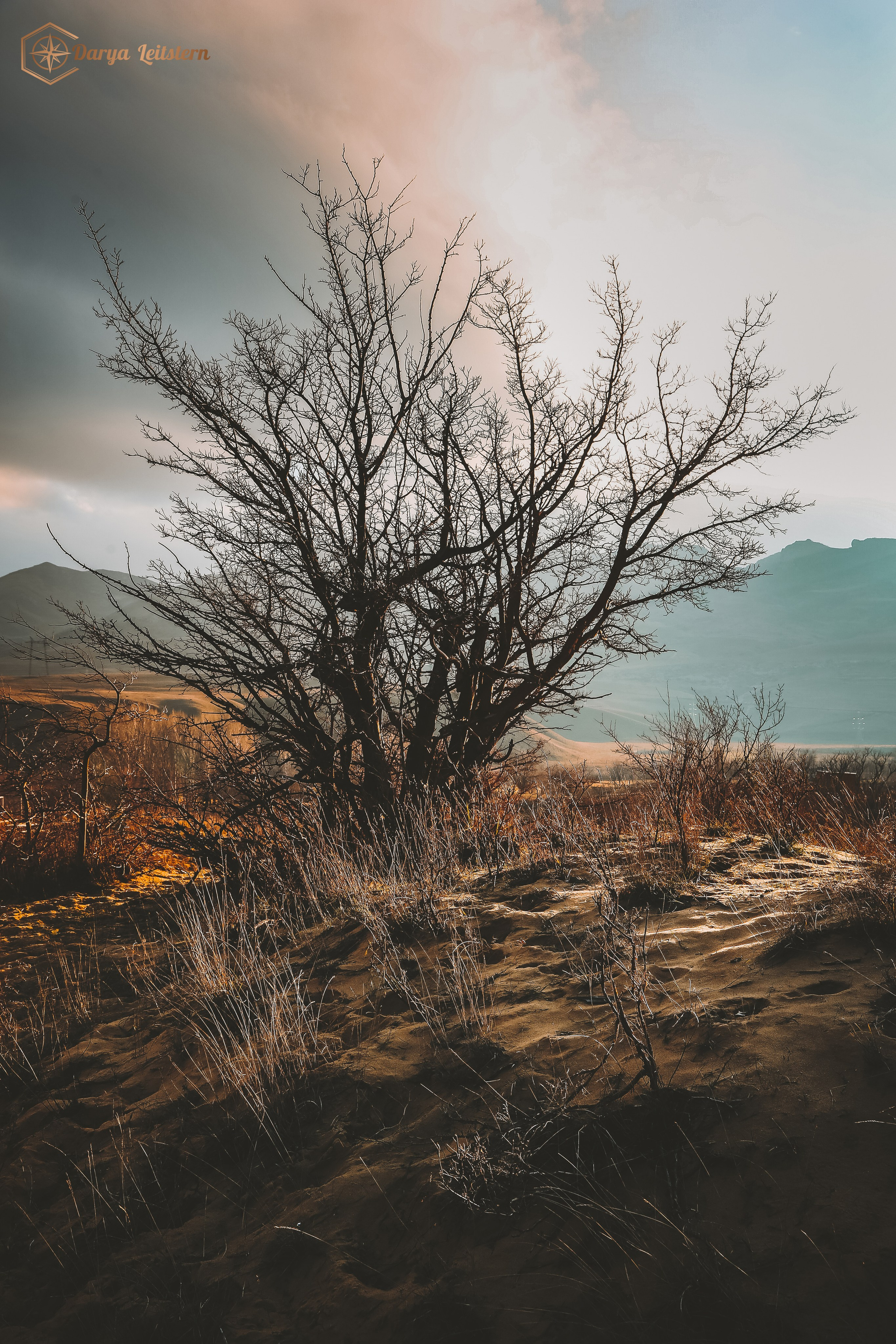 Фотографии из путешествий по разным странам. Дарья Письменюк / Darya Leitstern — фотограф, музыкант, журналист, путешественник