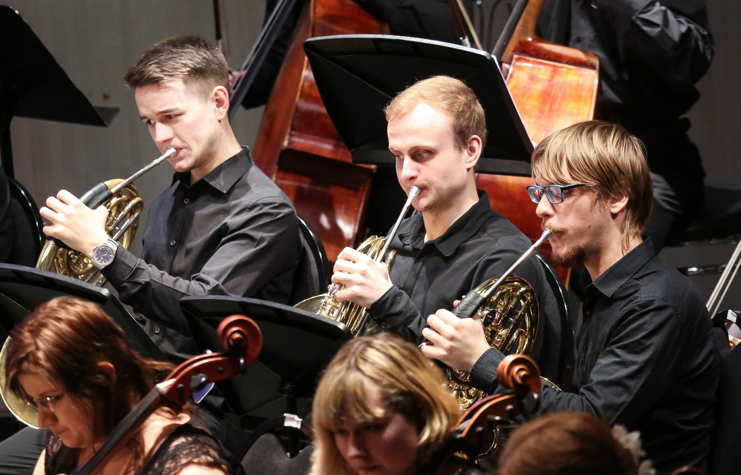 Концерт в Доме музыки к Международному дню борьбы с эпилепсией. Дарья Письменюк / Darya Leitstern — фотограф, музыкант, журналист, путешественник