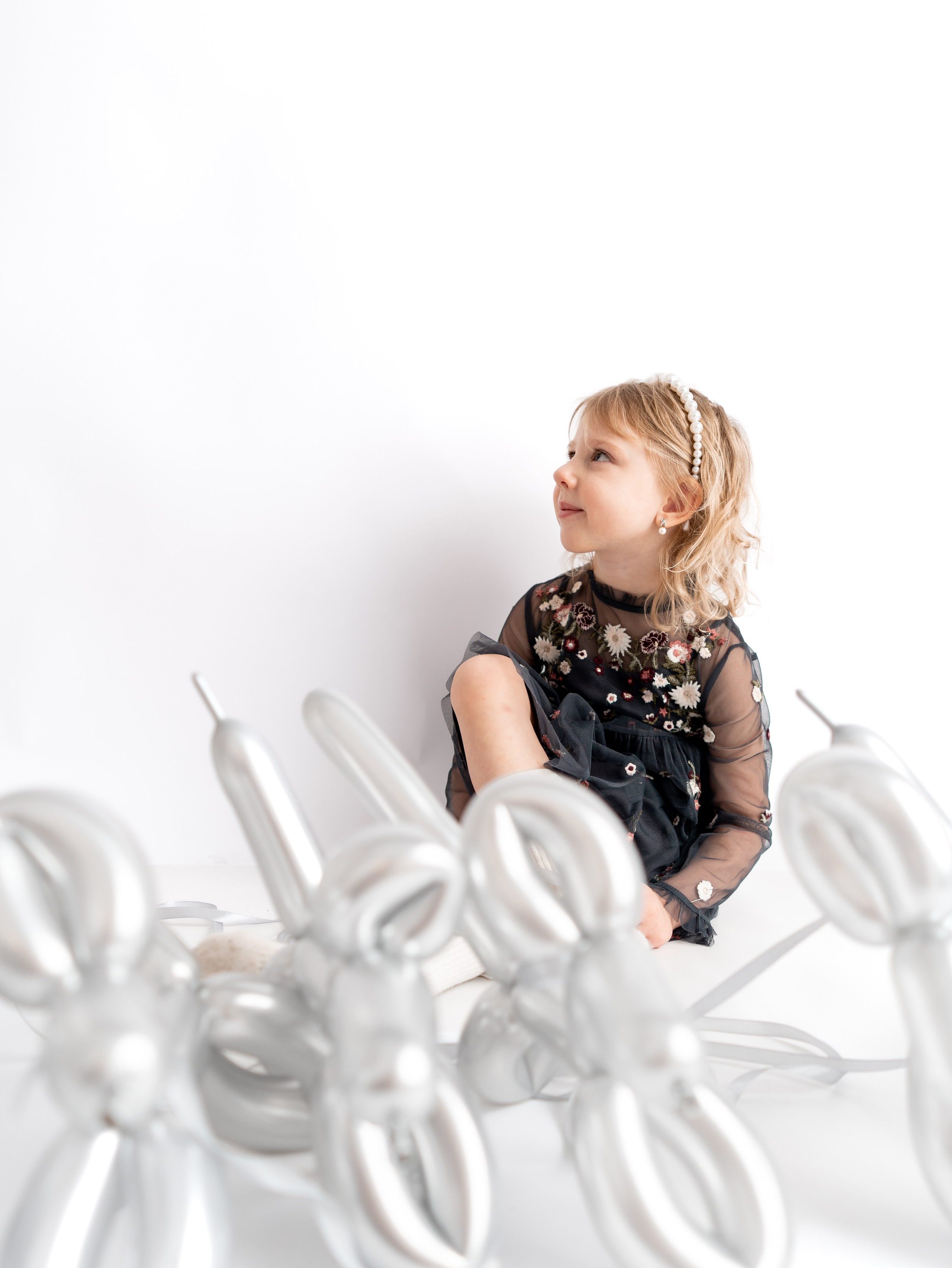 Foto project. Dogs. Фотограф и видеограф Тверь