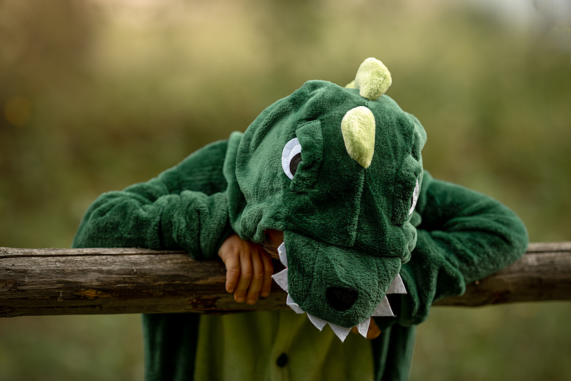 Ёжику 5!. Детский и семейный фотограф в Красноярске Елена Коровкина