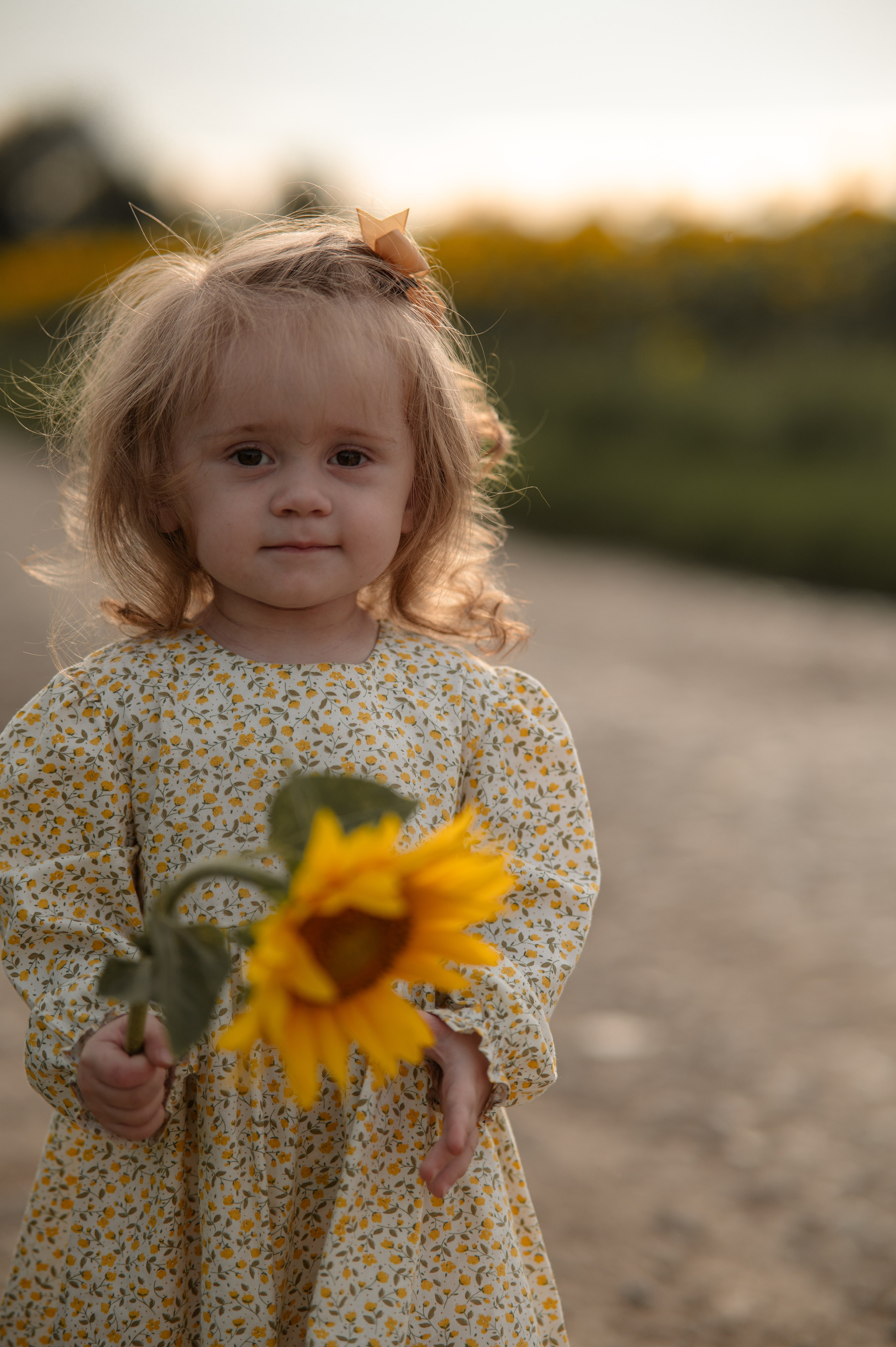 Подсолнухи. Фотограф Юлия Дубровская | Тула — свадьбы, семьи, детские съёмки