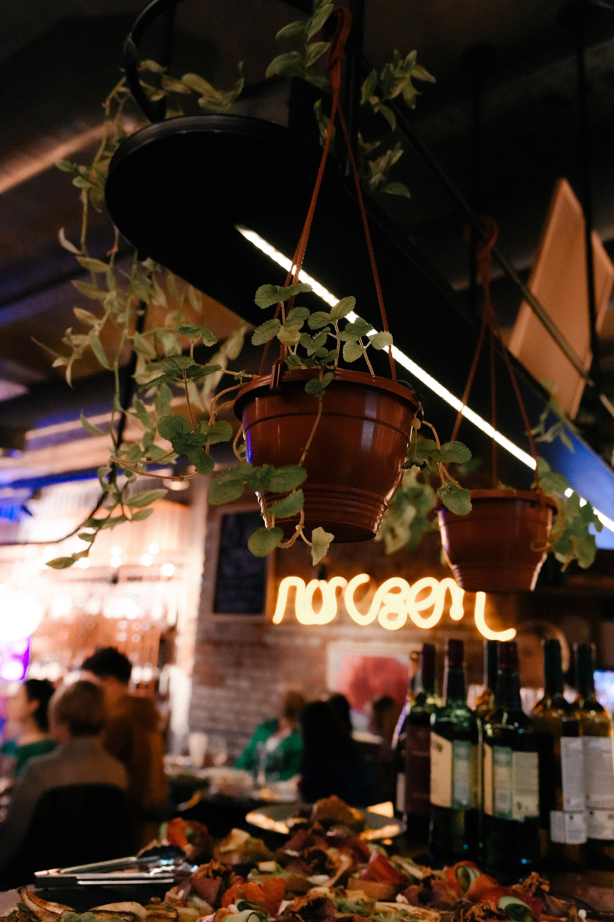 Корпоратив в баре Трамвай