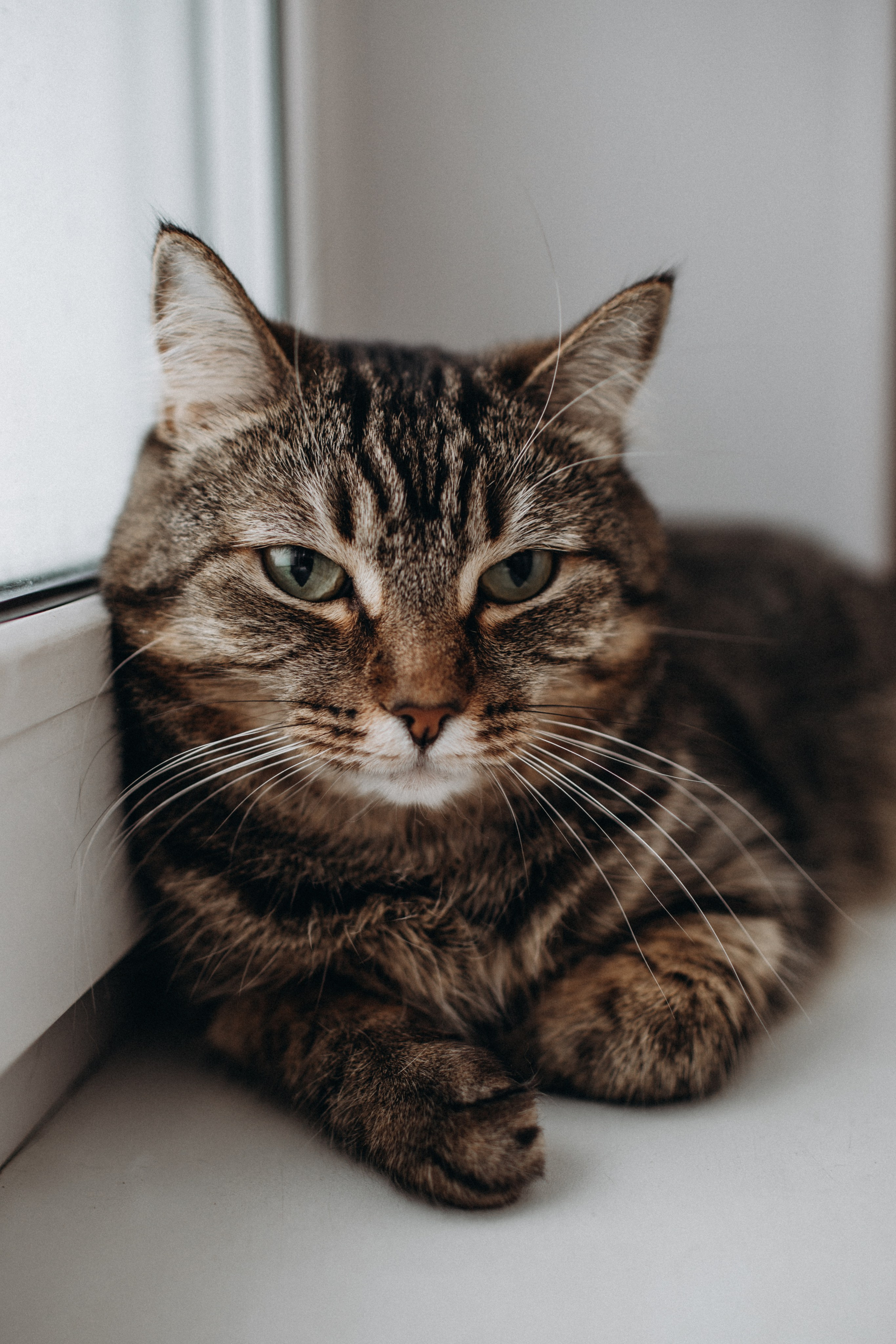 Семья Михайлиных. Семейный фотограф в Челябинске Ксения Зубкова