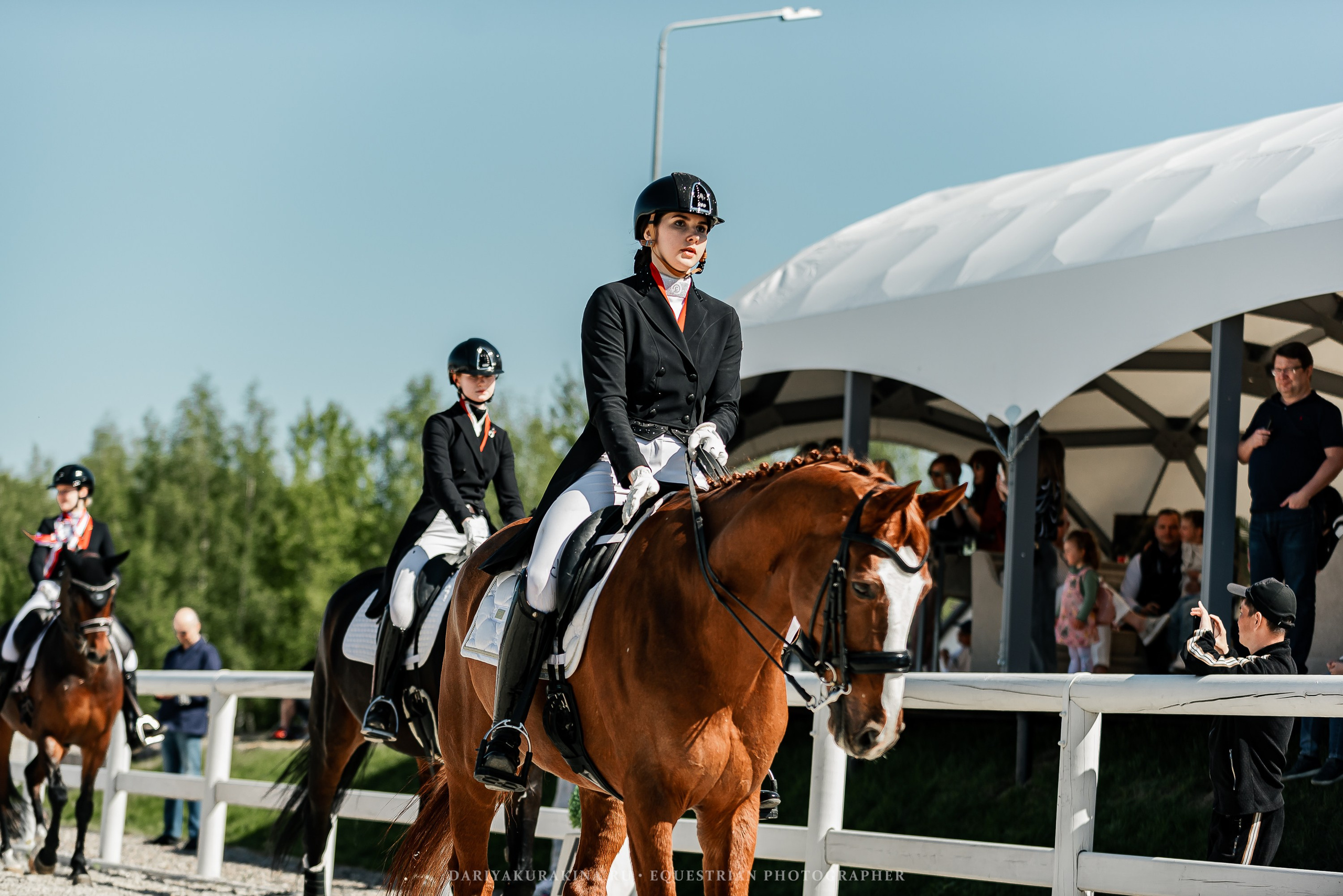 РЕПОРТАЖ МКК ВОЛЬТ «LA TULIPS». Конный фотограф Куракина Дарья • Фотосессии с лошадьми