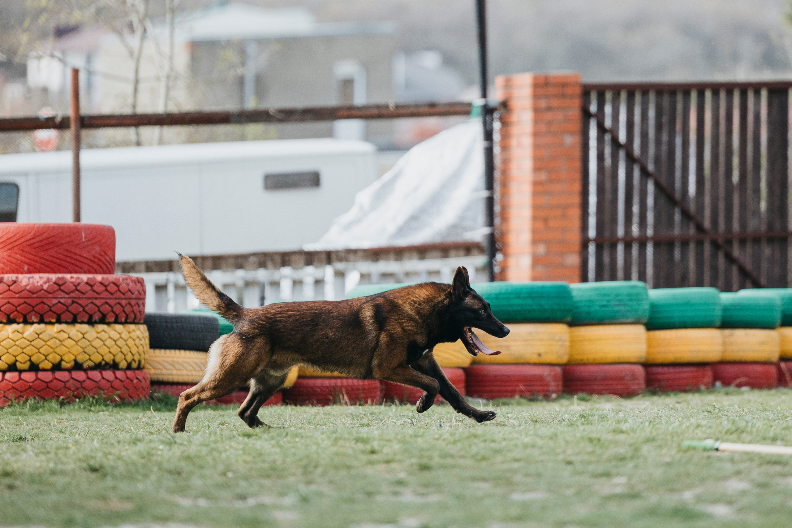 Геленджик Мондьоринг. Фотограф-анималист Анна Маринич