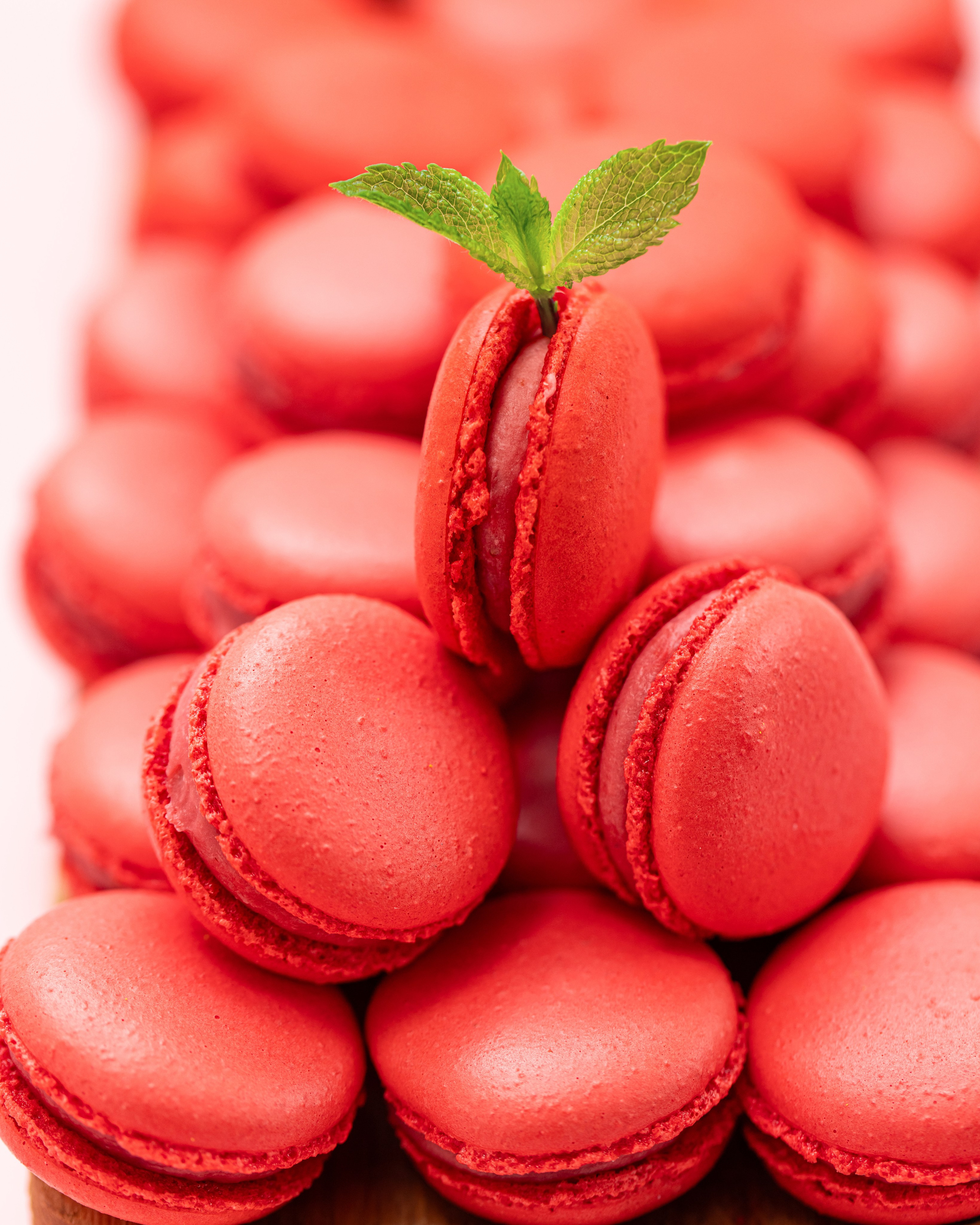 Food. Главная