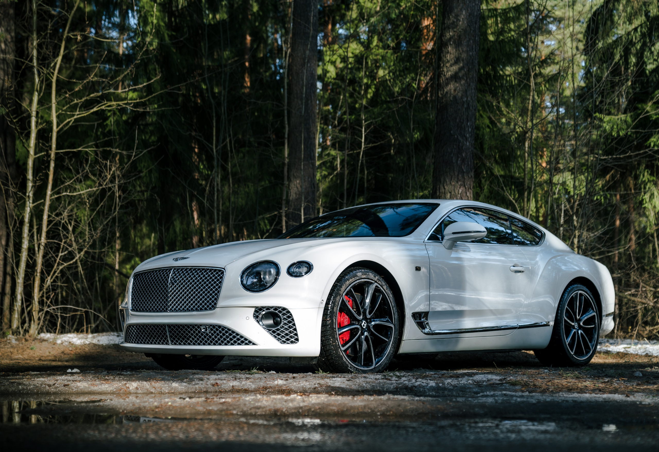 BENTLEY CONTINENTAL. Opasnophoto