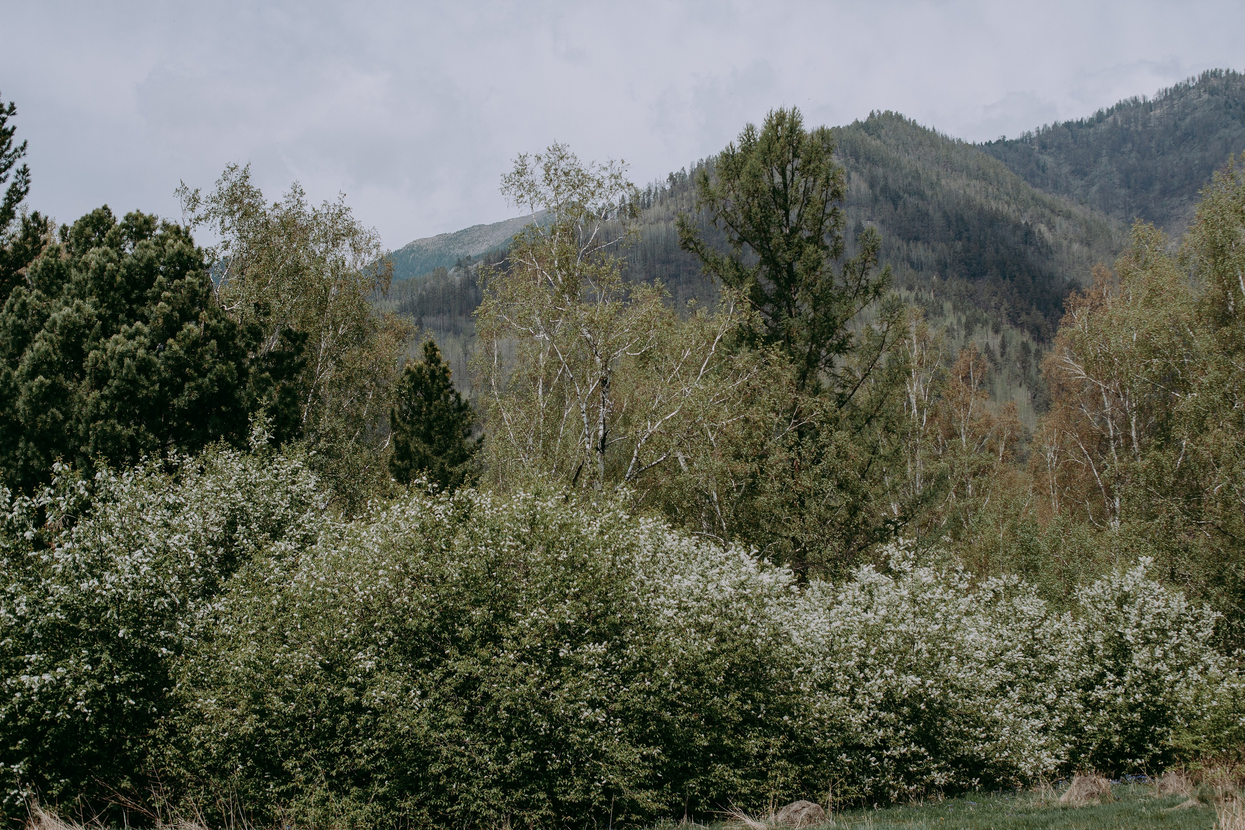 Ретрит на Байкале / Школа Ведических знаний SoVA / 7 дней, 2023. Борщевская Елизавета / фотограф Иркутск