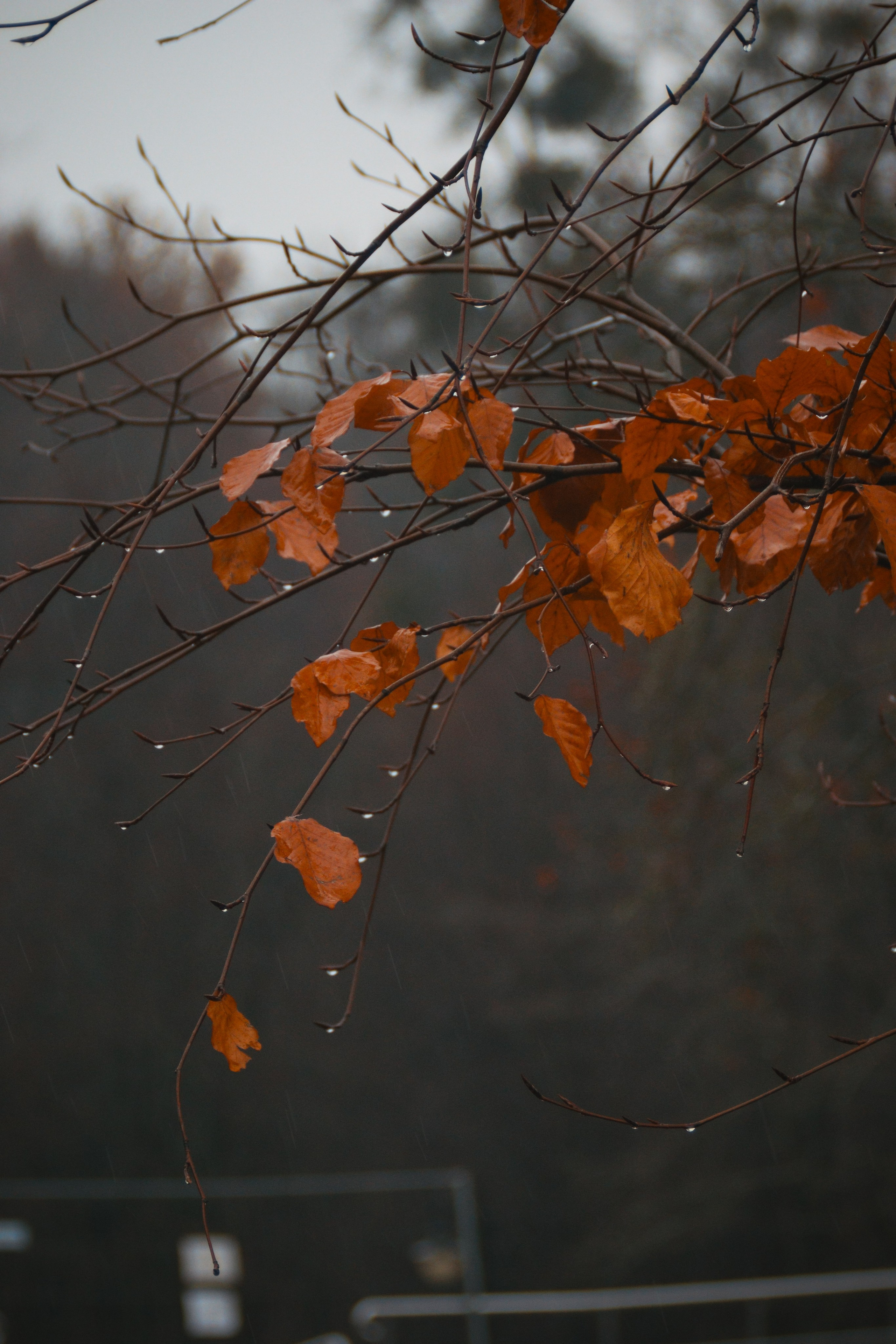 В О Д А. — Digital Noise —