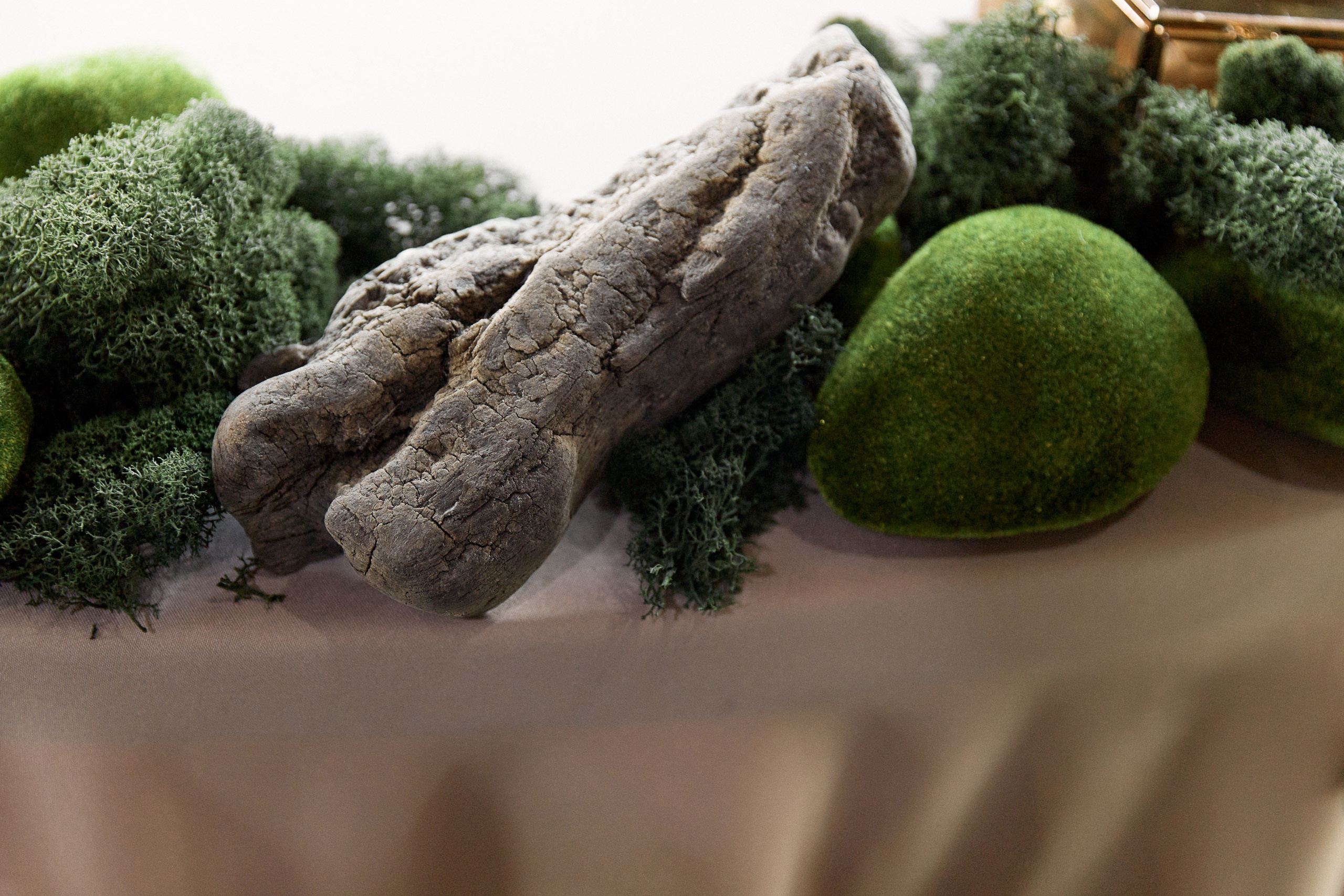 Посмотреть серию. Свадебный и семейный фотограф в Красноярске Тряпчев Павел