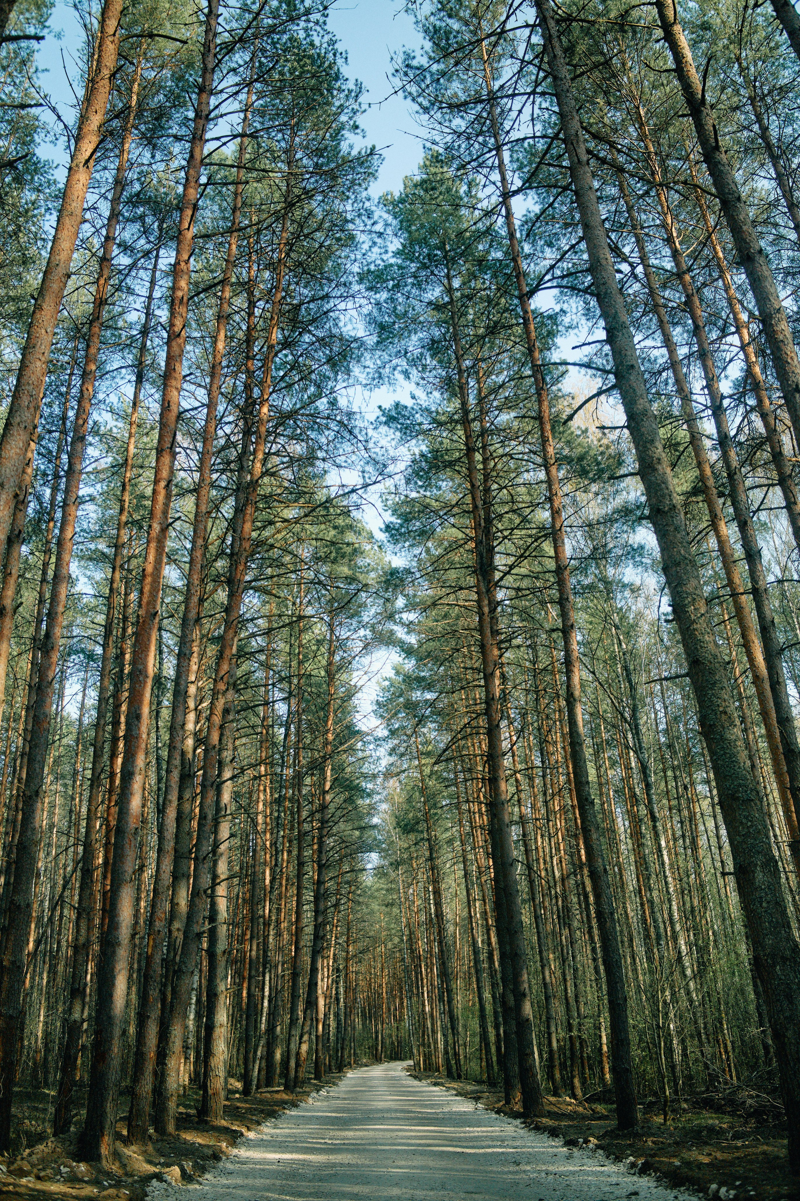 Бутик-отель Поле летом. Профессиональный Фотограф во Владимире, в Москве и в Суздале — Полина Романычева