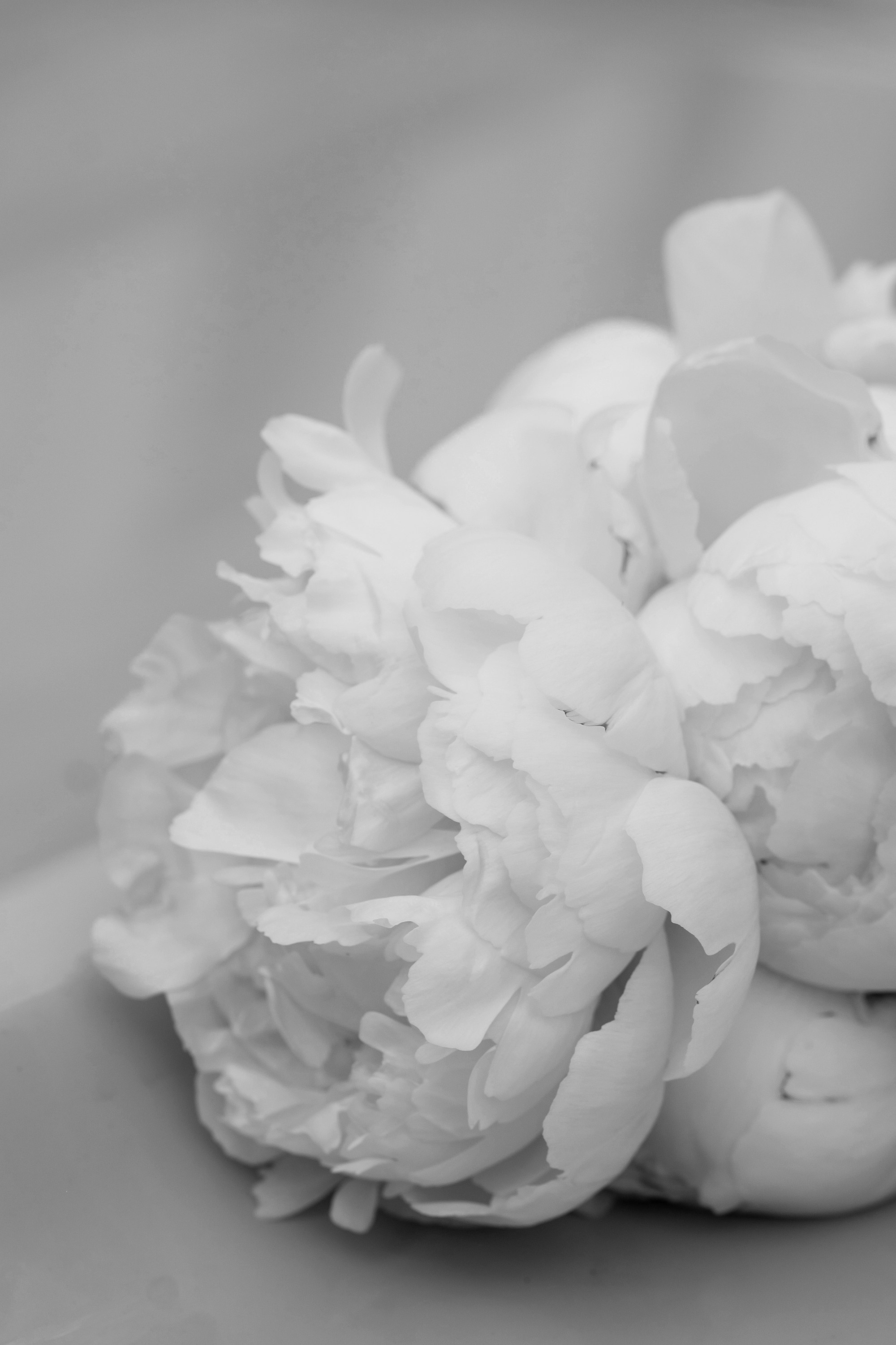 V|E. Фотограф Владислав Телешун (г. Москва)