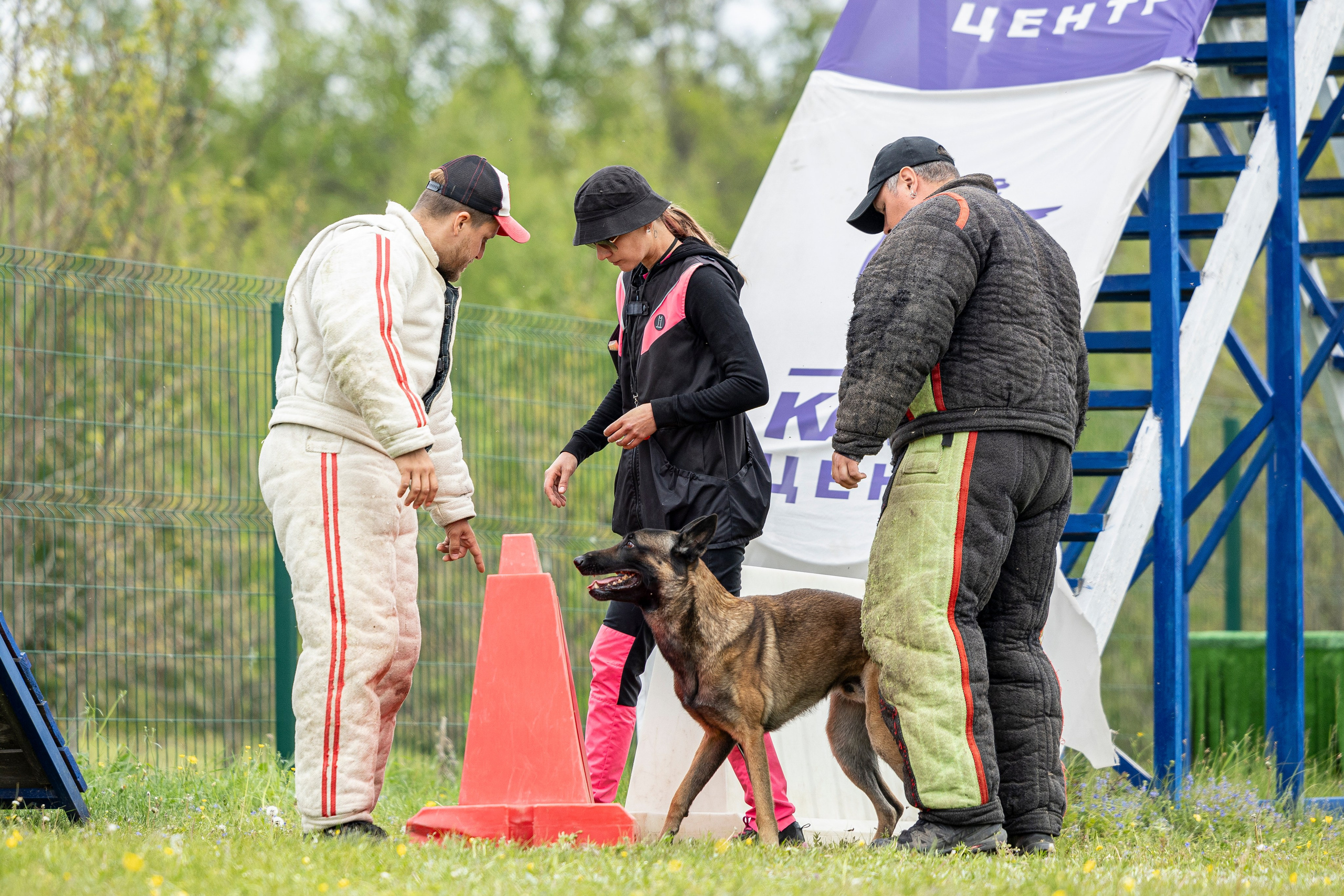 Испытания по мондьорингу в Нижнем Новгороде. Фотограф-анималист Анна Маринич