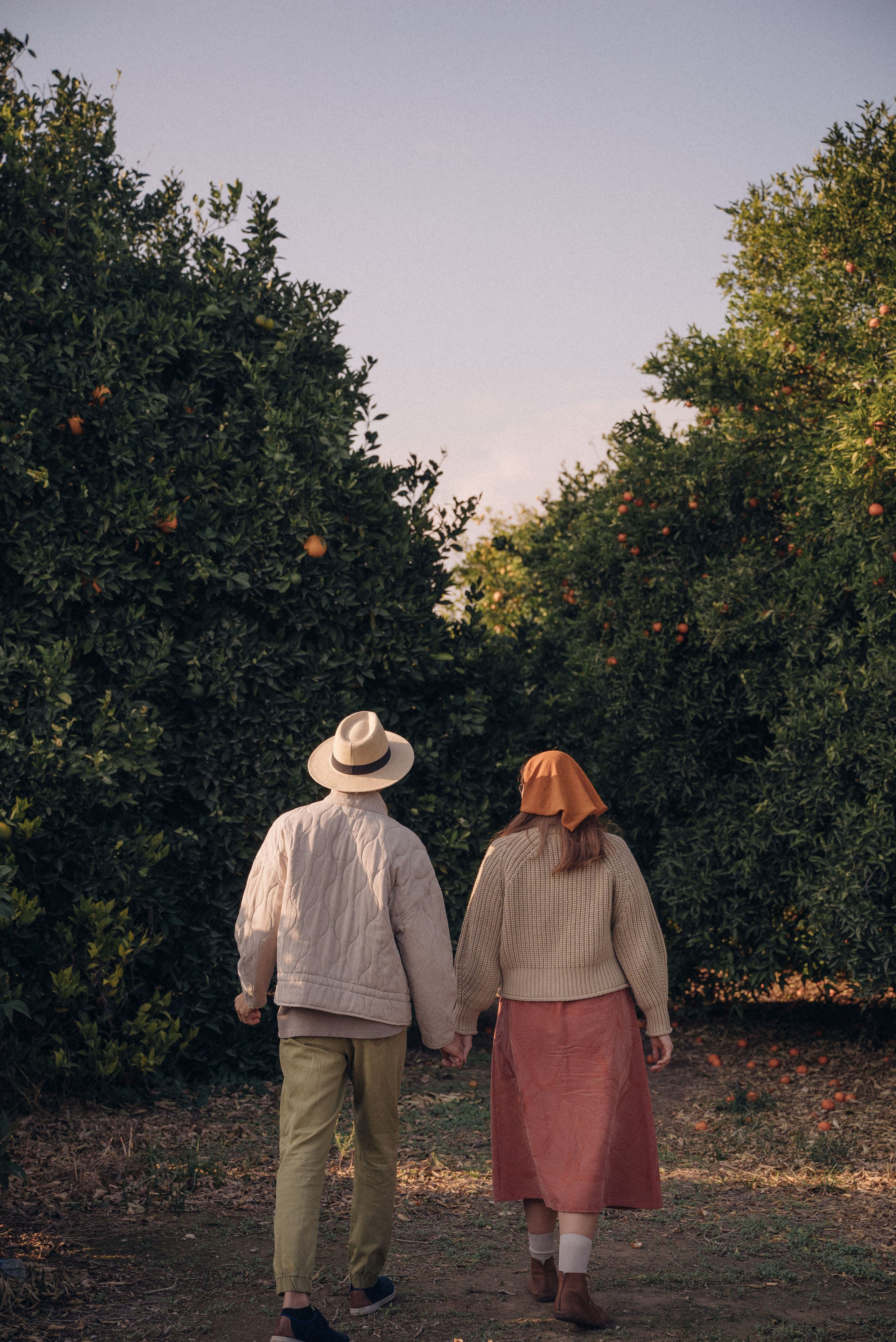 Сбор урожая. Анна Лобанова | фотограф