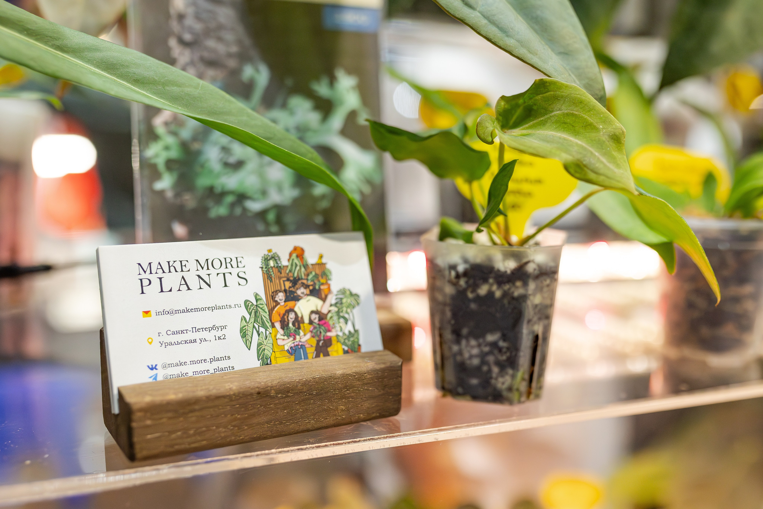 Монстериум апрель 2026. Александра Куликова фотограф, Москва