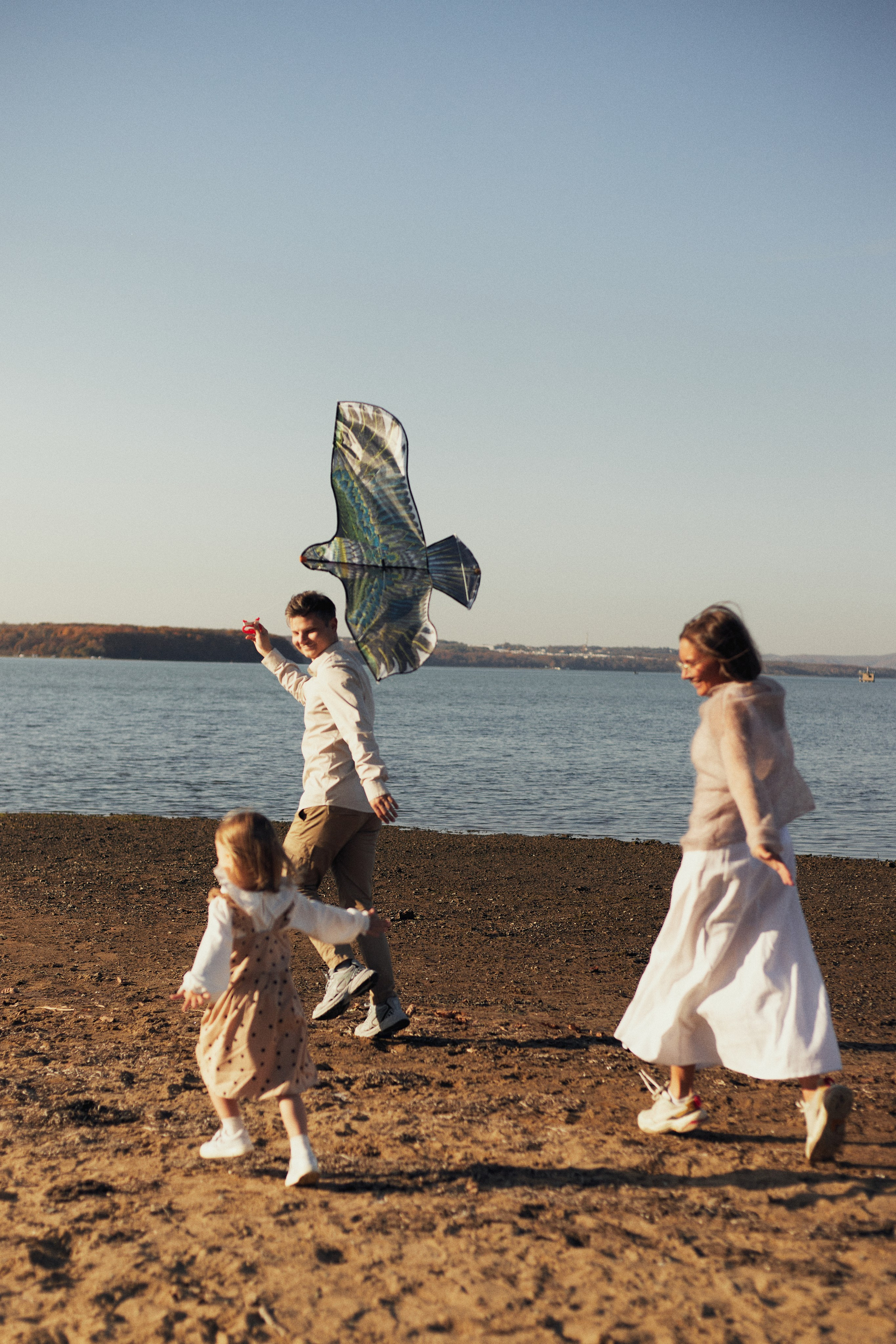 Летели высоко, летели далеко. Фотограф Ионова Анастасия, г Владивосток