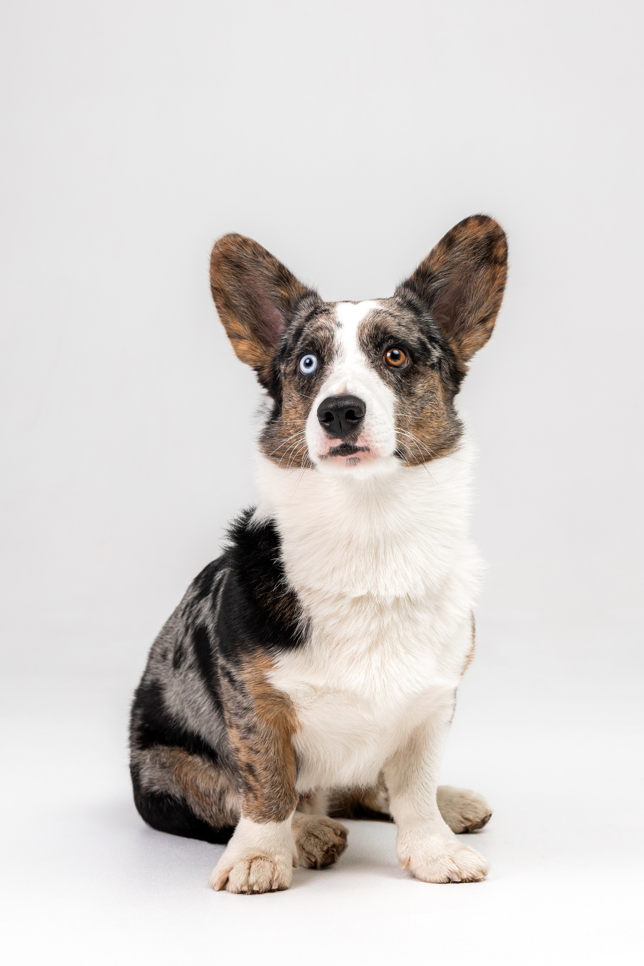 Анатолий и Рагнар