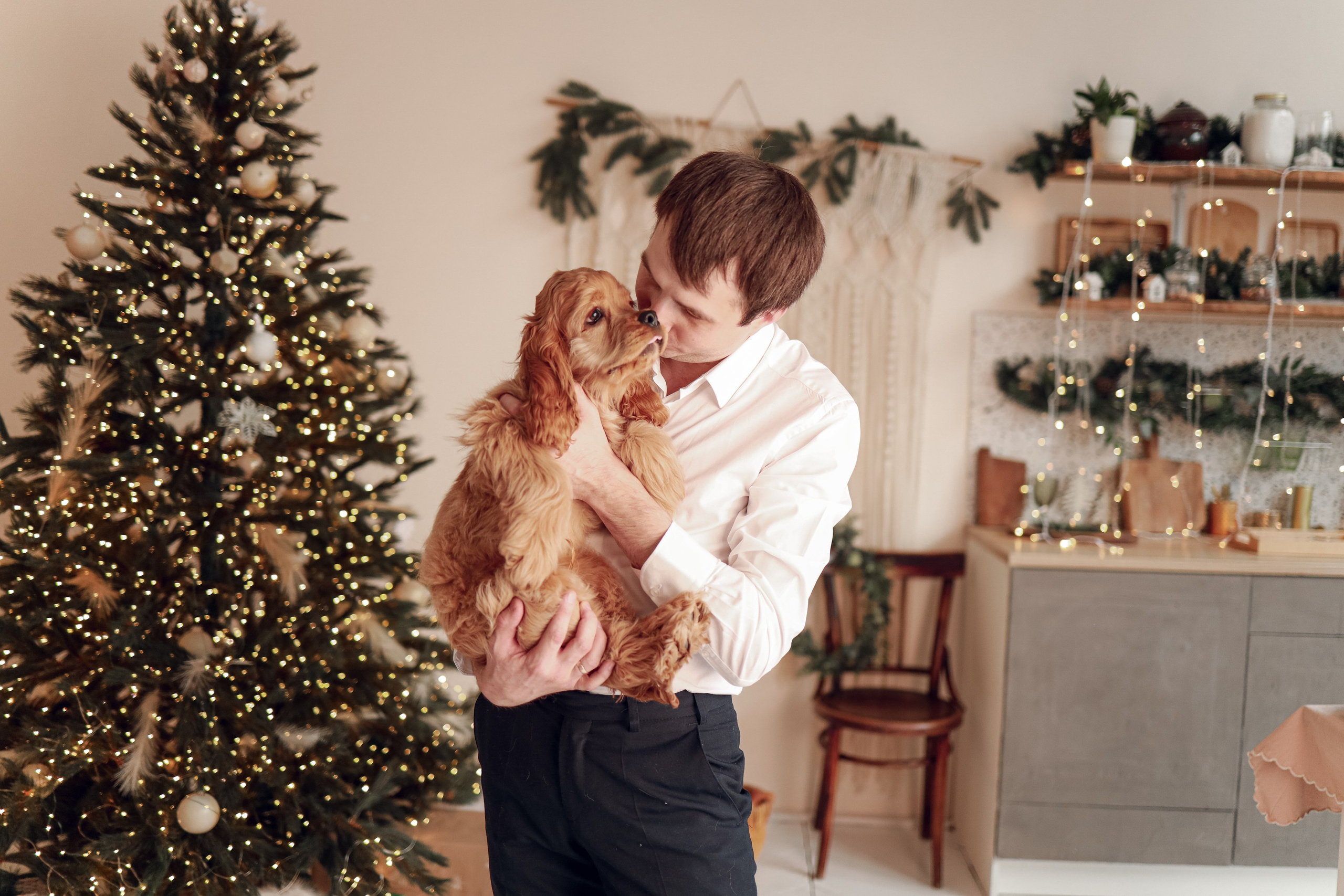 Семейная съемка с собакой. Иванова Ирина Свадебный и семейный фотограф г. Уфа