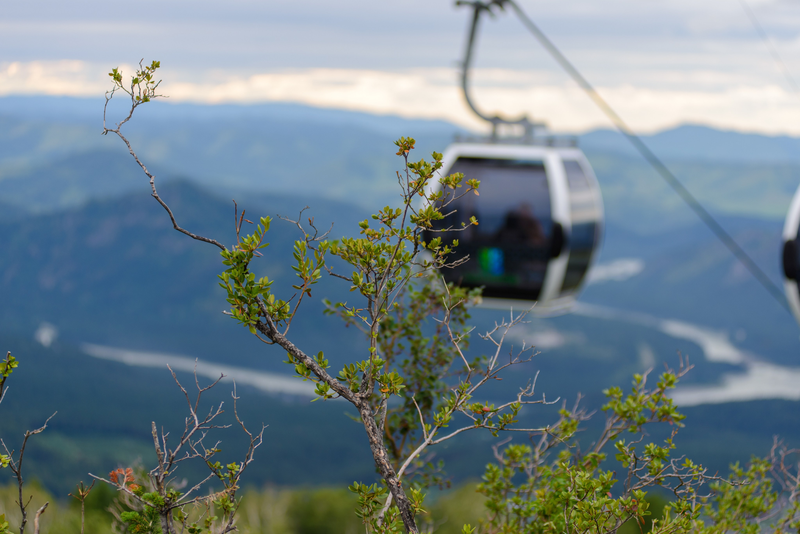 Природа. Фотограф в городе Омске Константин Зоткин