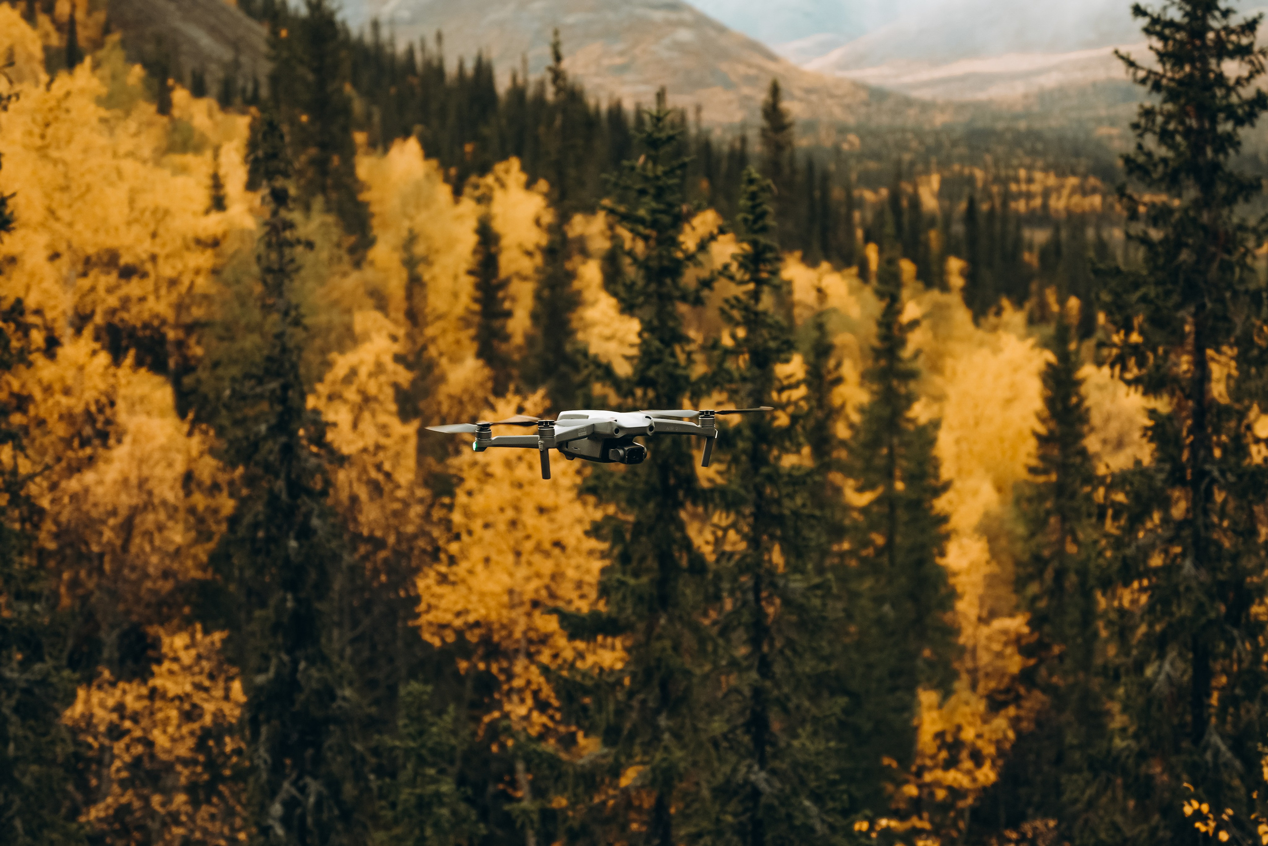 СЕВЕР. Event фотограф Степанова Александра