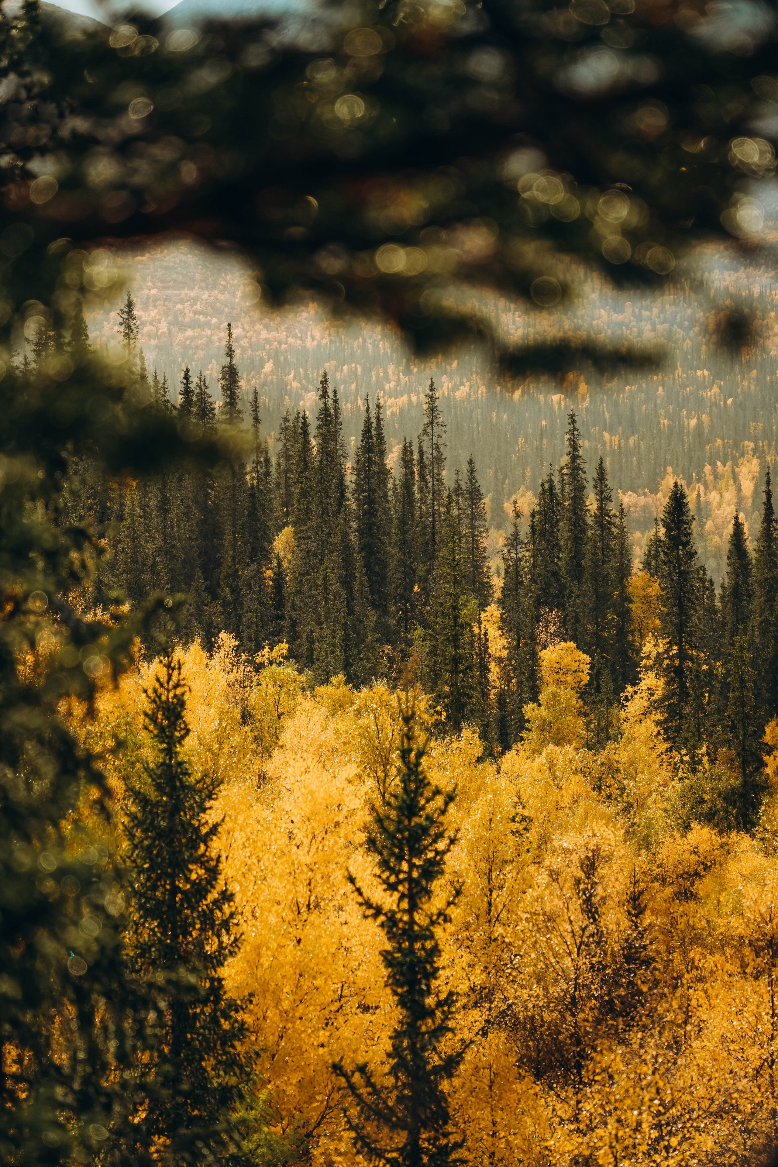 СЕВЕР. Event фотограф Степанова Александра
