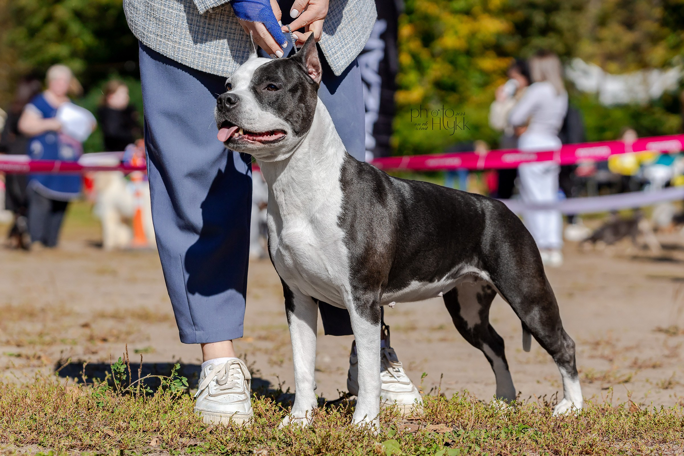 7 сентября 2024, Выставка СКОР, г. Пермь. Htykk_photo