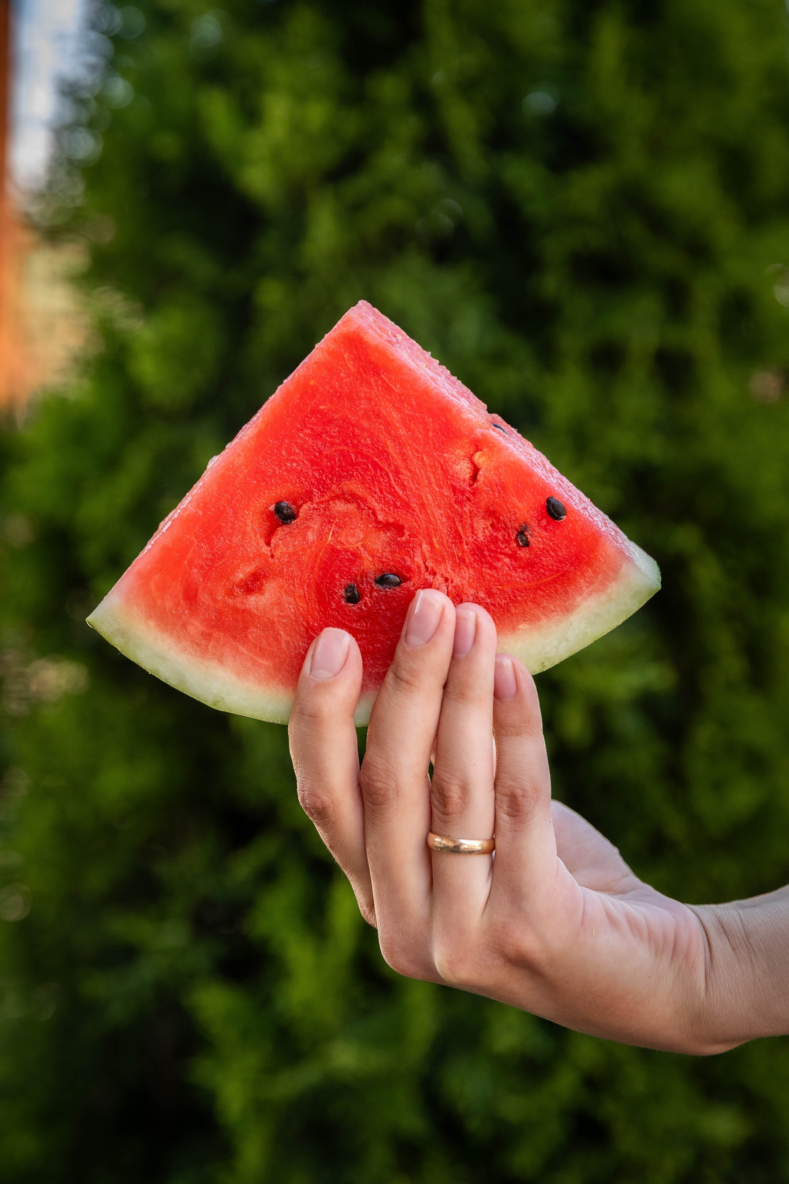 ОЛЬГИНИЯ. Фотограф-АниМалист Анна Абрамова