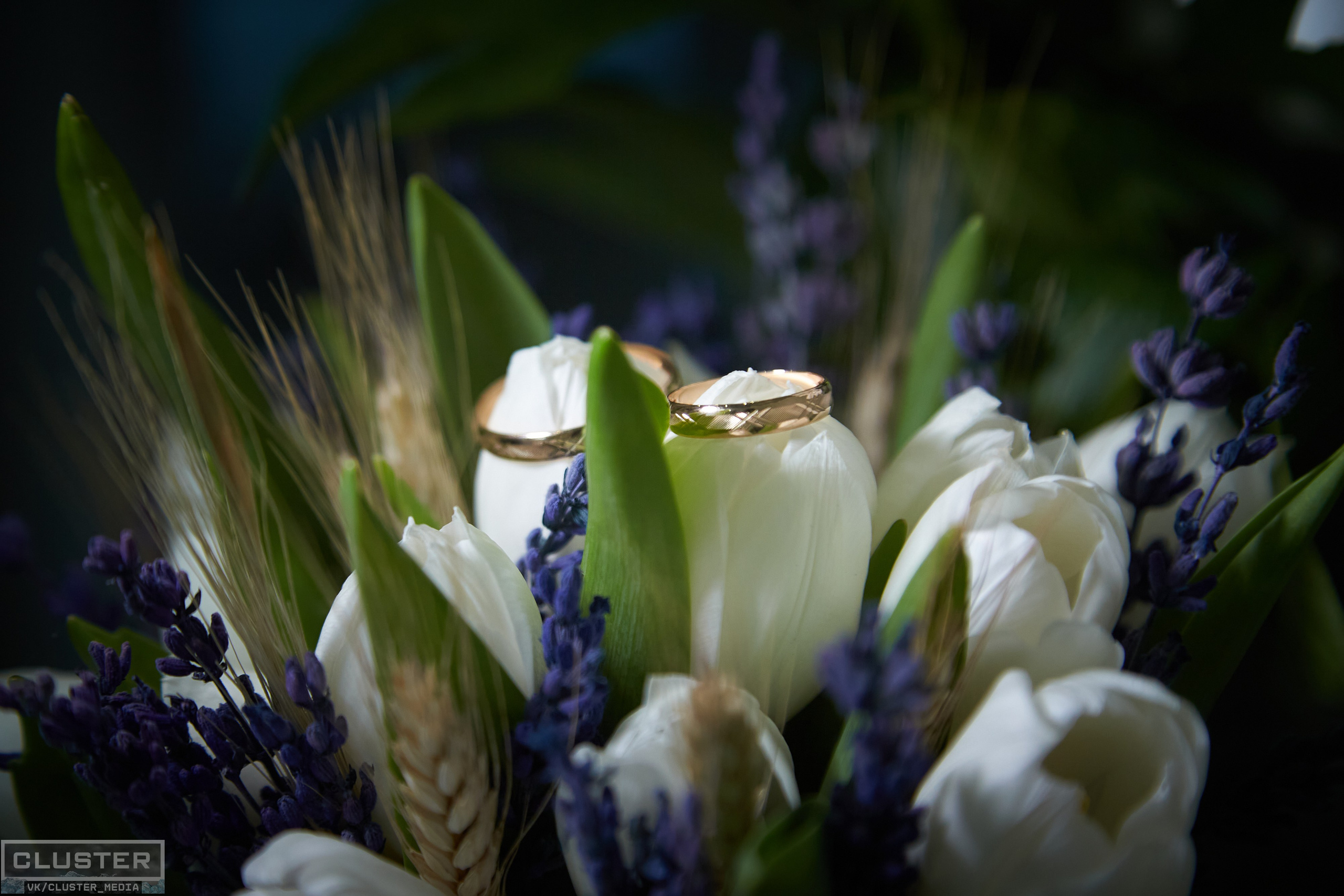 Лада и Алексей