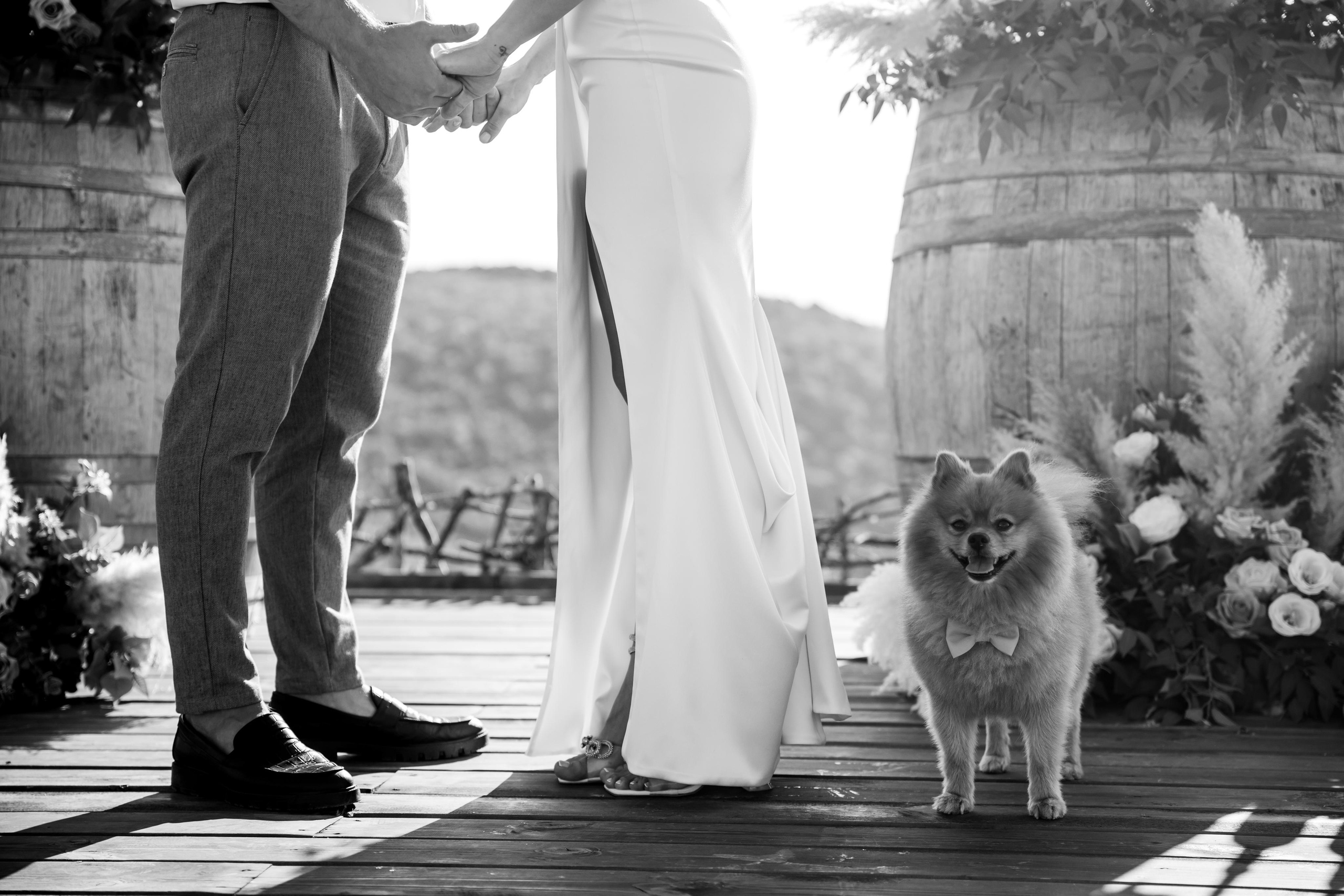 Свадьба в Крыму. Свадебный и семейный фотограф в Севастополе и в Крыму Анастасия Корчак