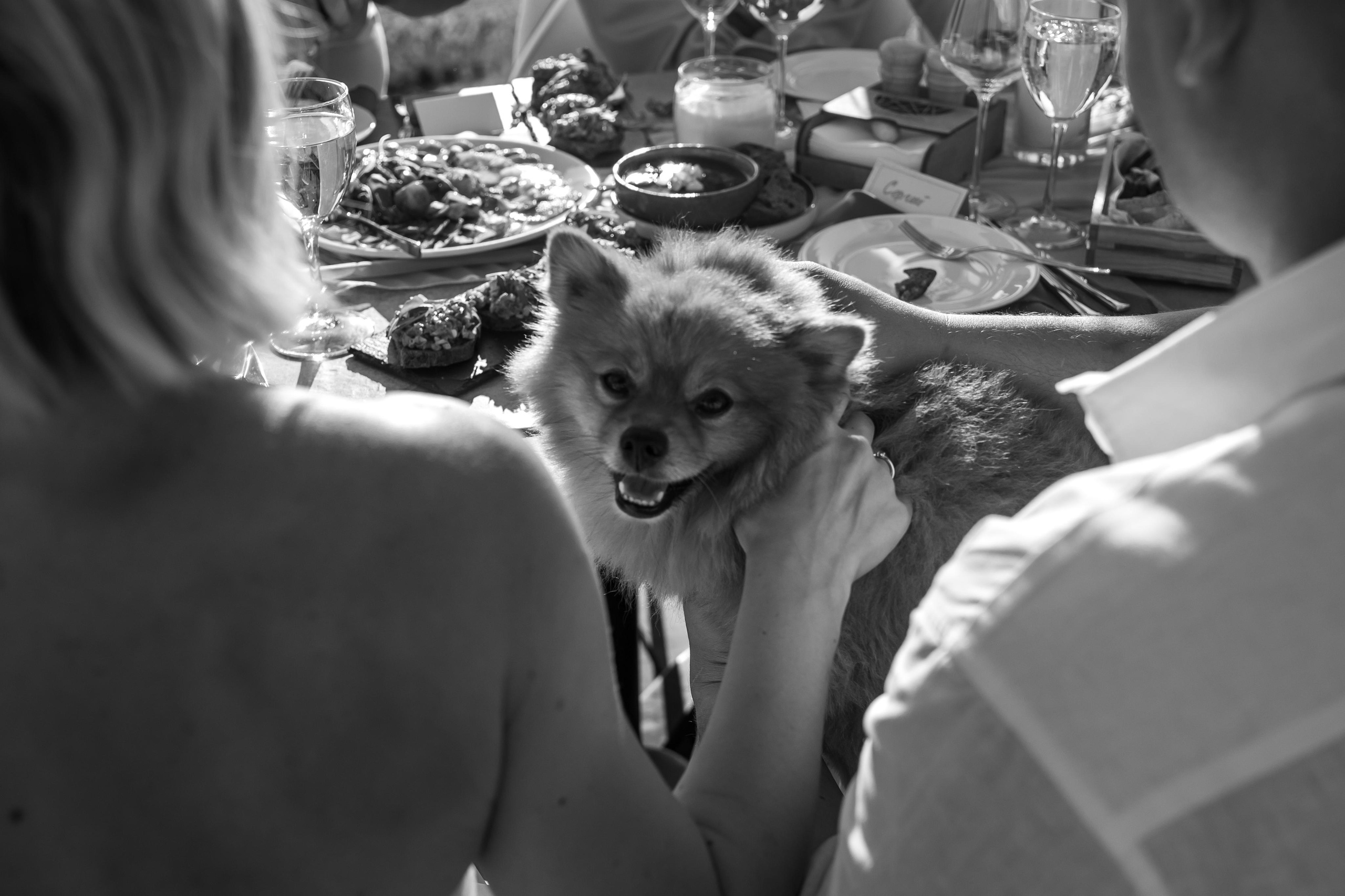 Свадьба в Крыму. Свадебный и семейный фотограф в Севастополе и в Крыму Анастасия Корчак