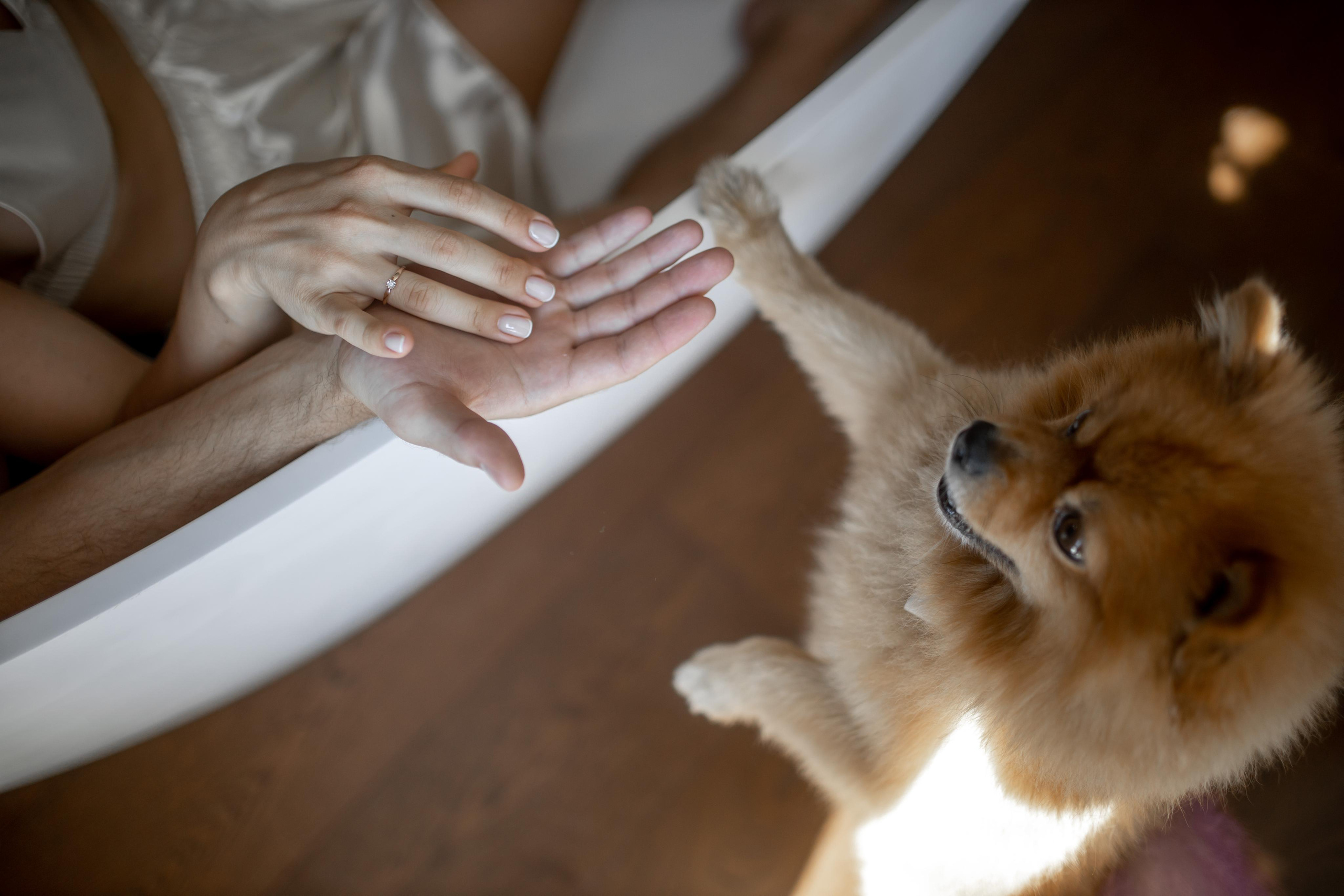 Свадьба в Крыму. Свадебный и семейный фотограф в Севастополе и в Крыму Анастасия Корчак