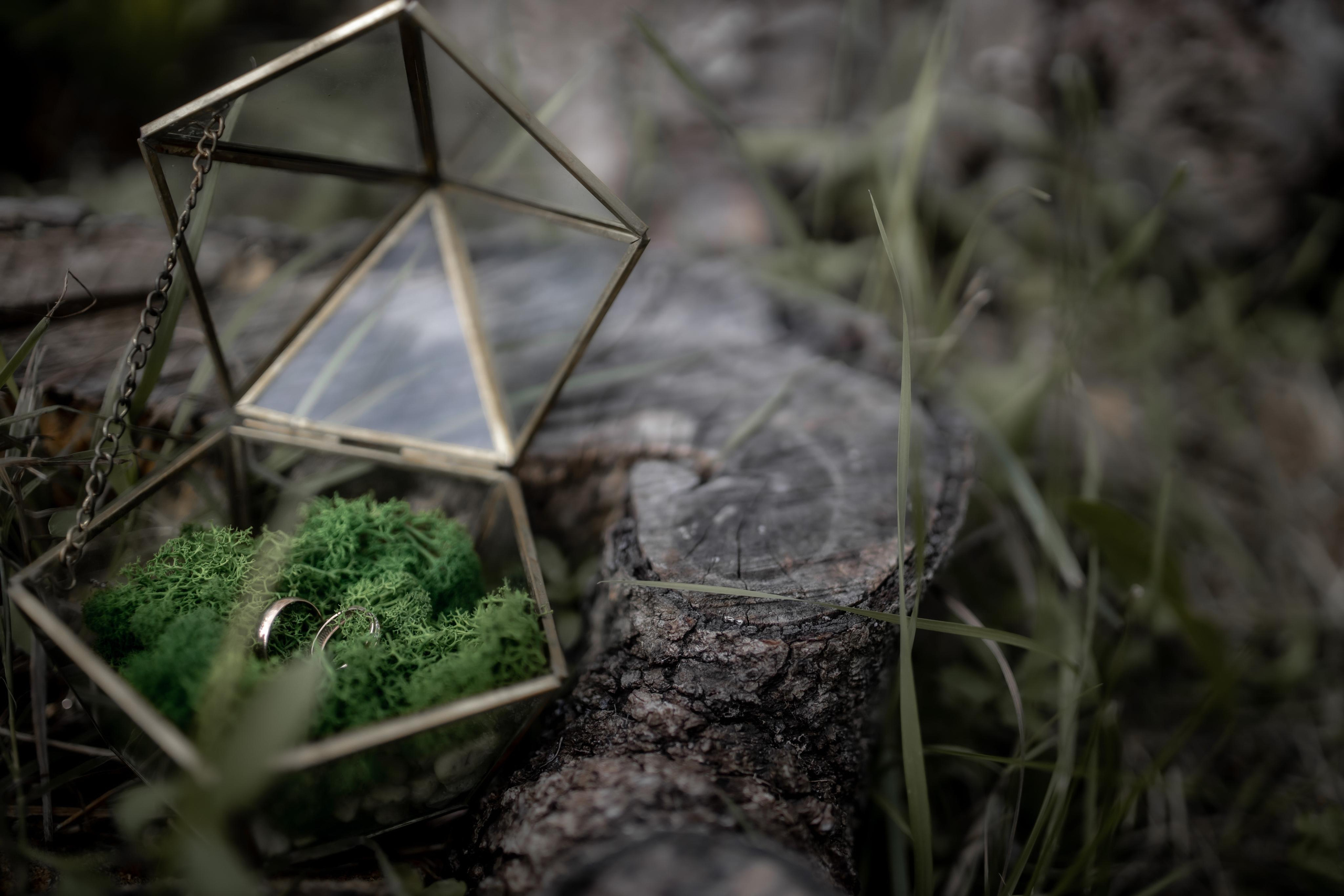 Владислав и Анастасия 30.07.2023. Свадебный и семейный фотограф в Севастополе и в Крыму Анастасия Корчак