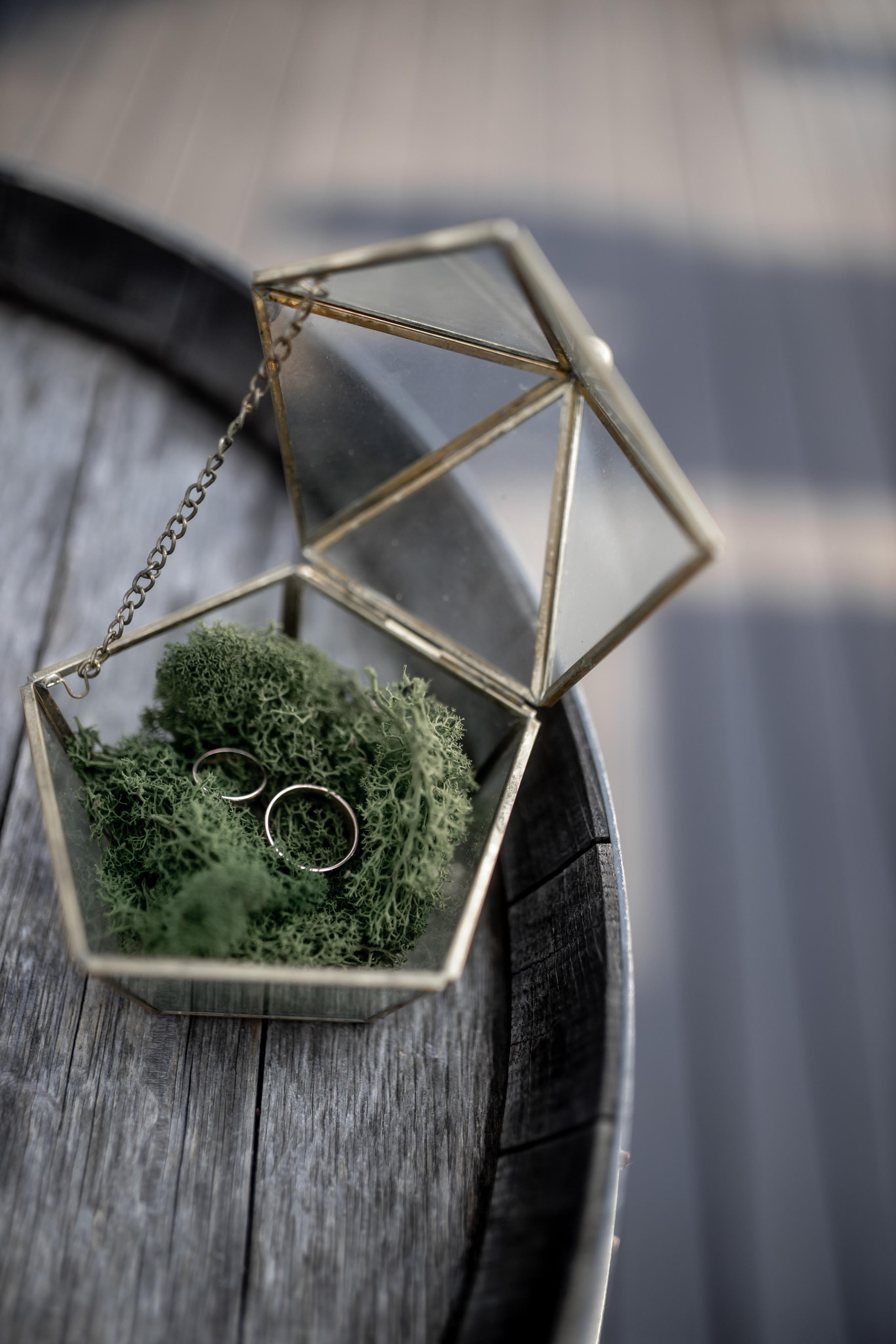 Свадебный фотограф Севастополь. Свадебный и семейный фотограф в Севастополе и в Крыму Анастасия Корчак