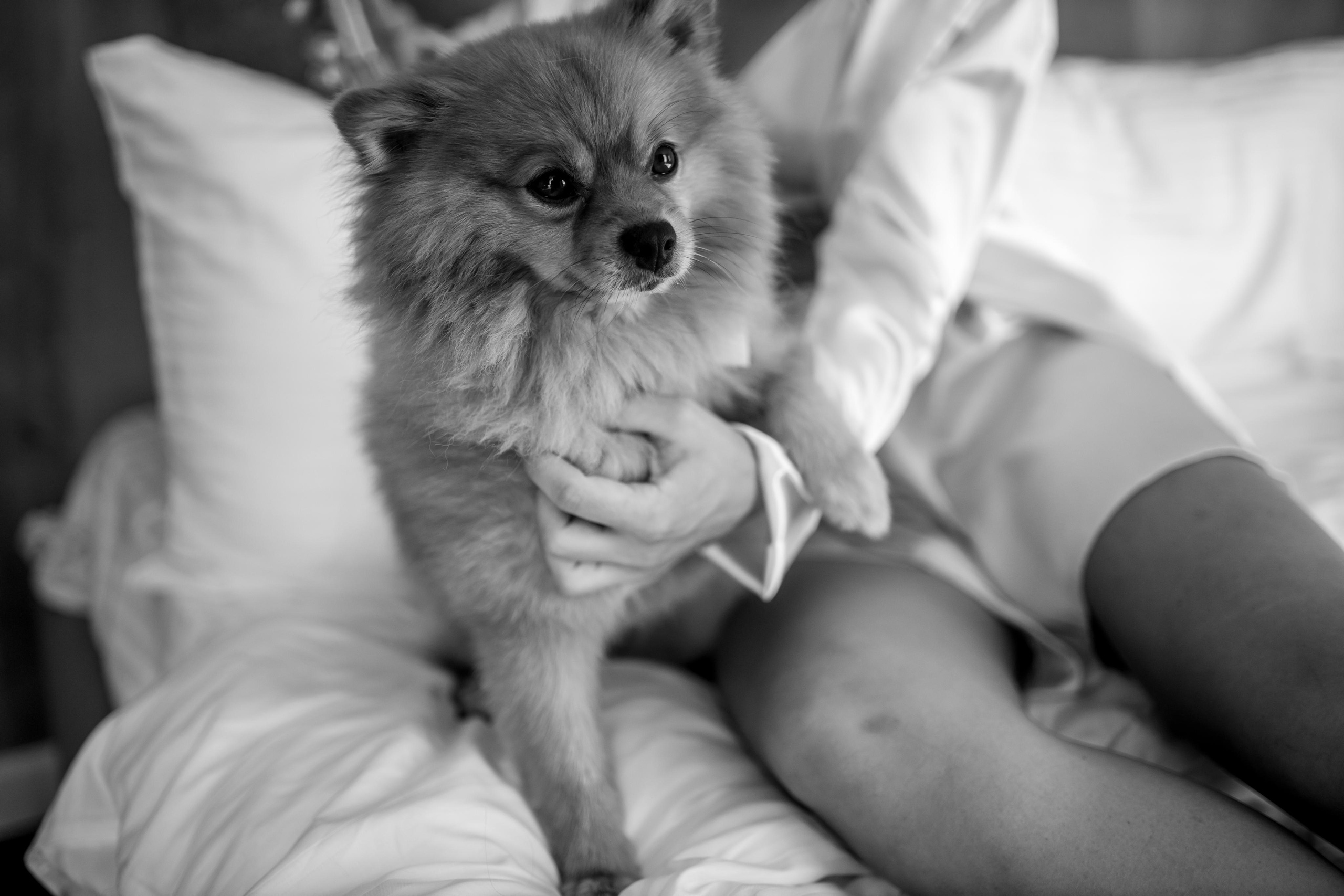 Свадьба в Крыму. Свадебный и семейный фотограф в Севастополе и в Крыму Анастасия Корчак