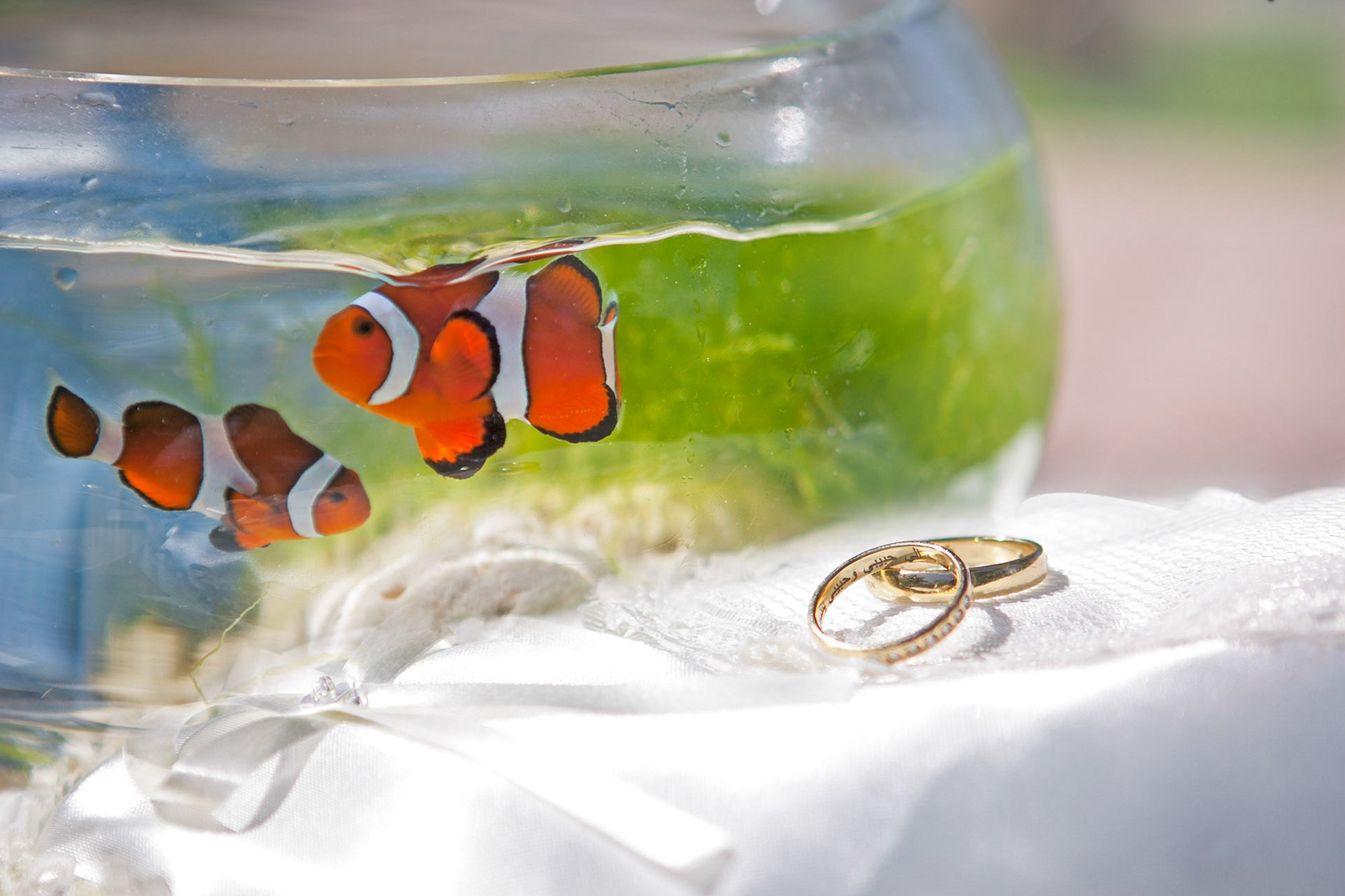 Фото и видео съемка мероприятия. Фото и видеосъемка