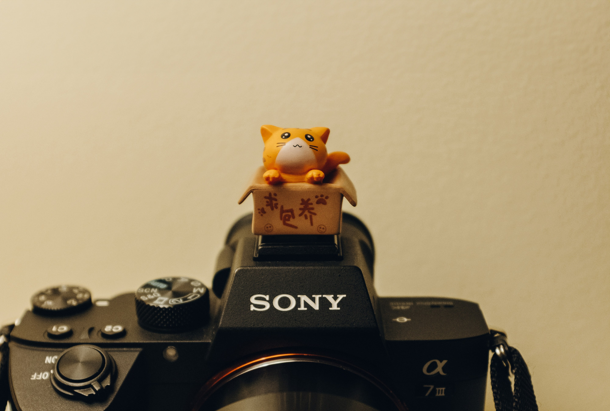 Отзывы. Фотограф Екатерина Катунова | Москва