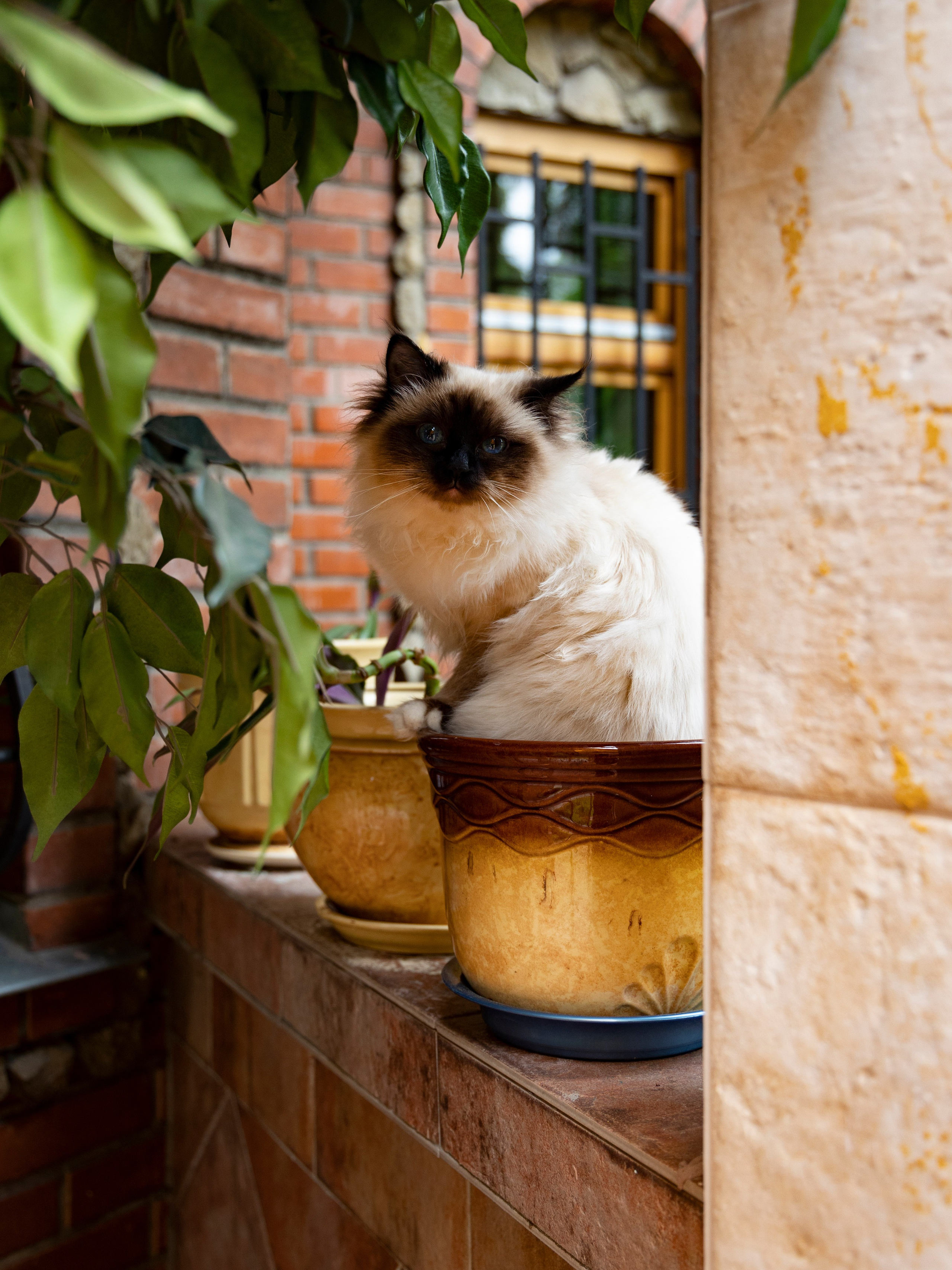 Фотограф Татьяна Марсуверских г. Жуковский, Москва и Мо. Репортажные съёмки, фотосессии,  фотограф анималист, фотосъёмка животных. Фотограф для маркетплейсов, фотоуслуги в Жуковском Татьяна Марсуверских