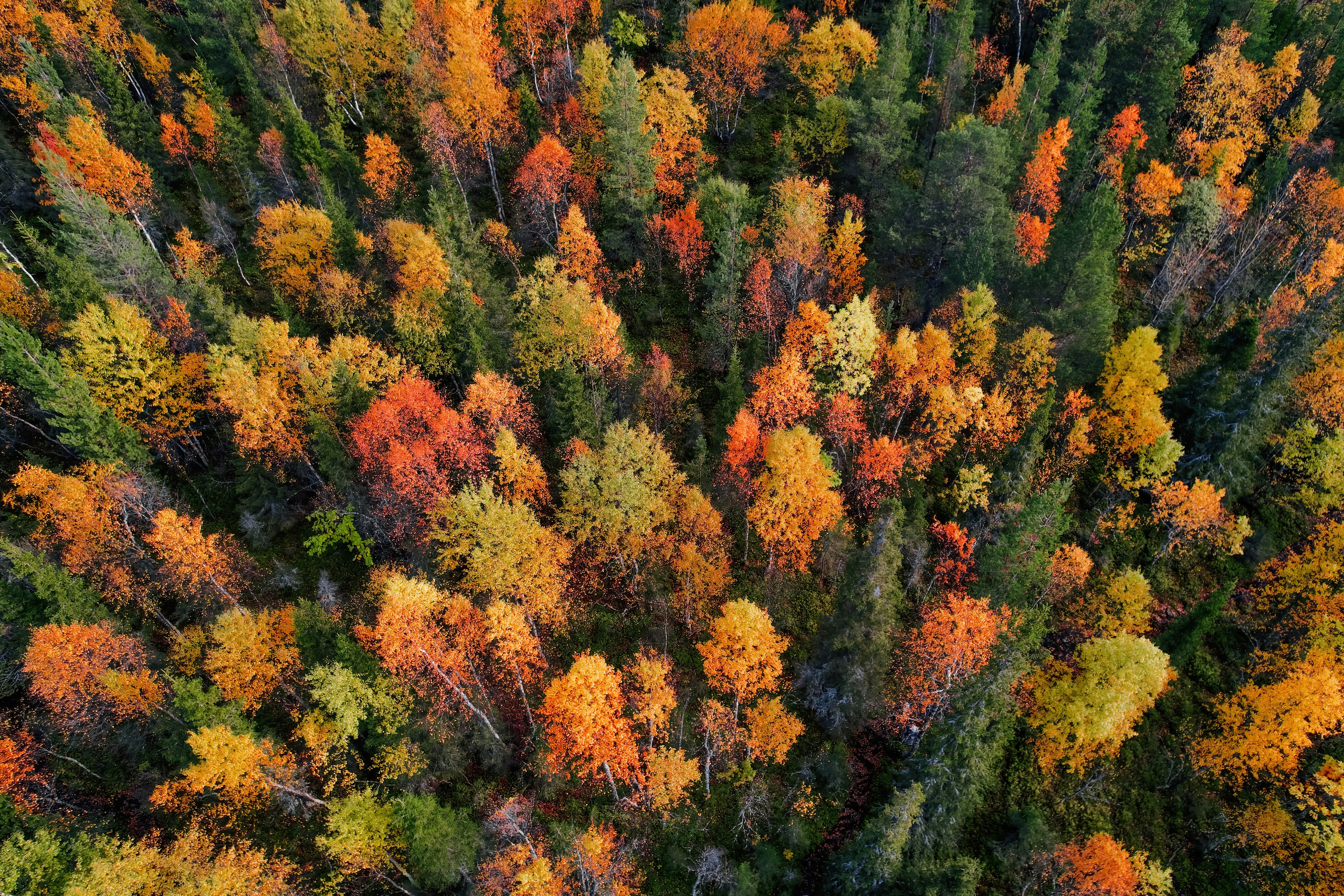 СЕВЕР. Event фотограф Степанова Александра
