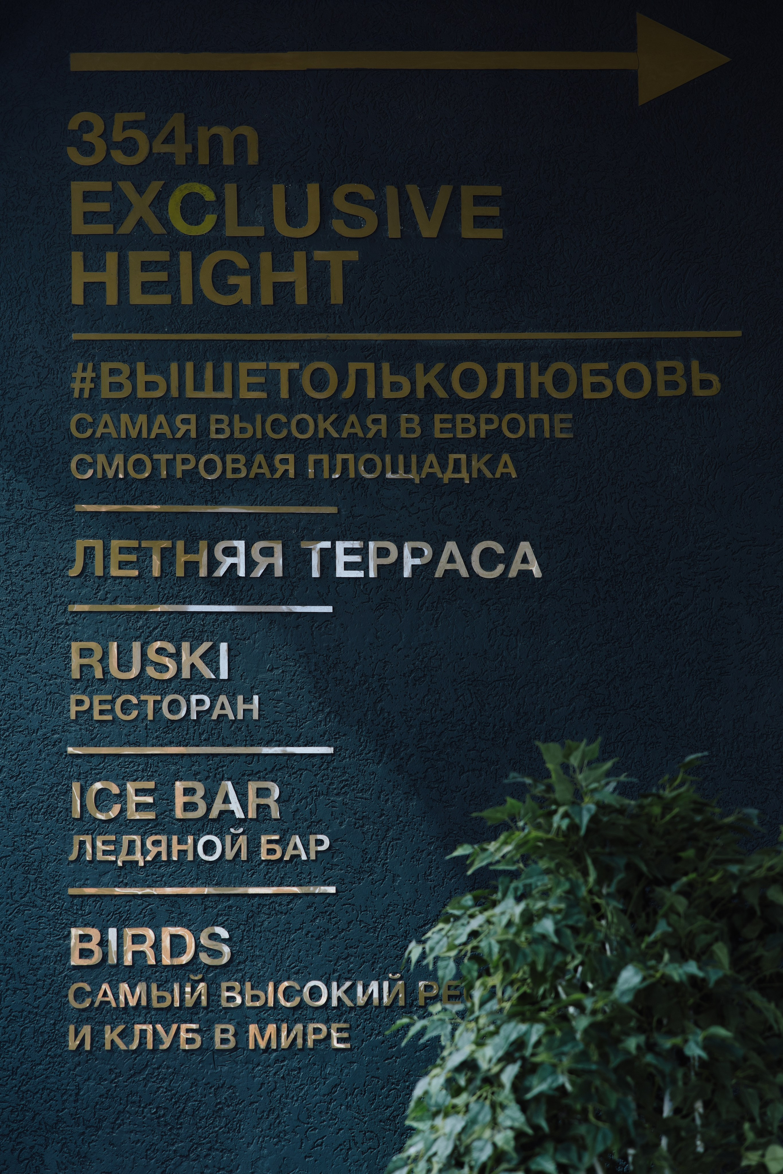 «Выше только любовь». Свадебный фотограф Москва