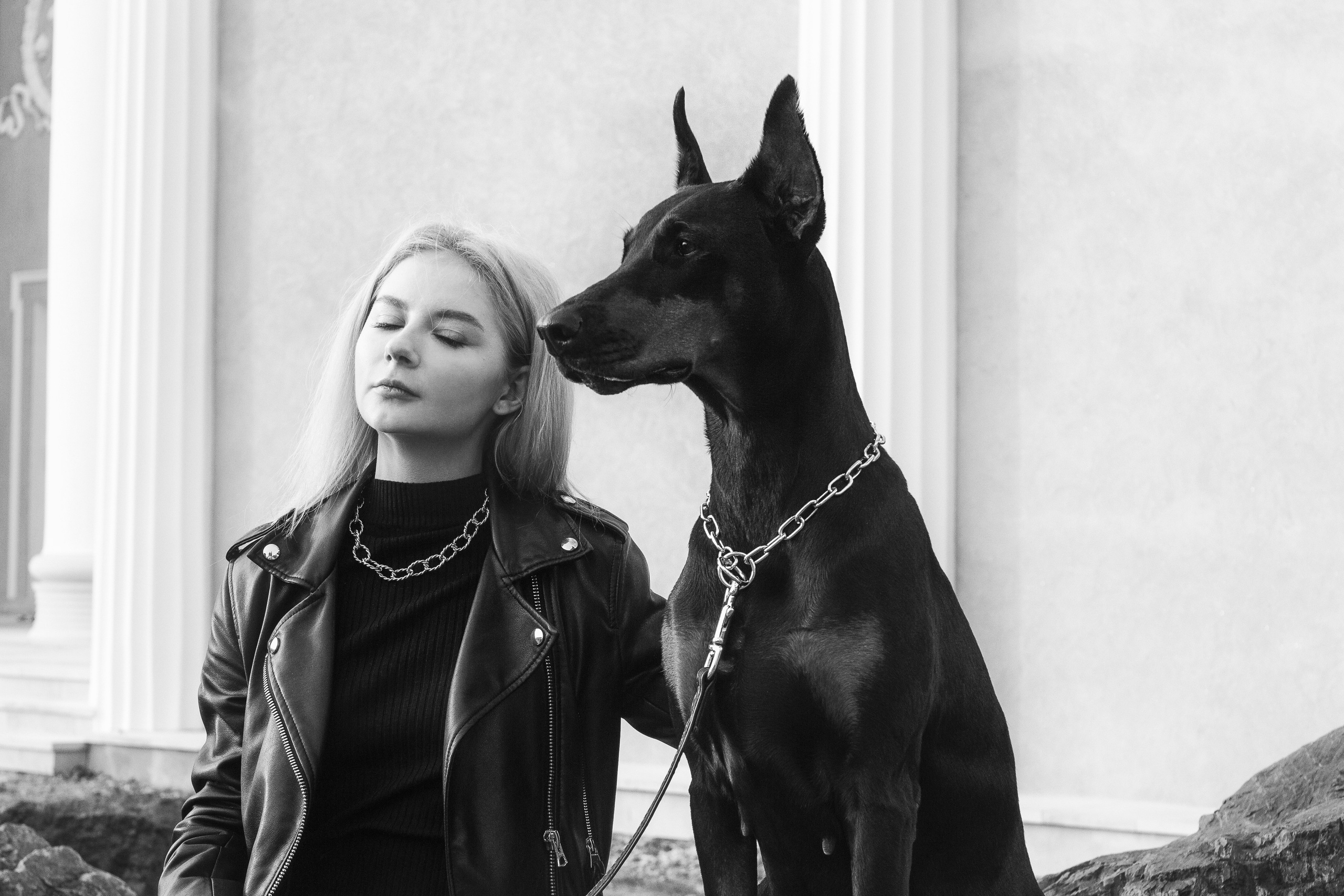 Фотосессия с доберманом Москва