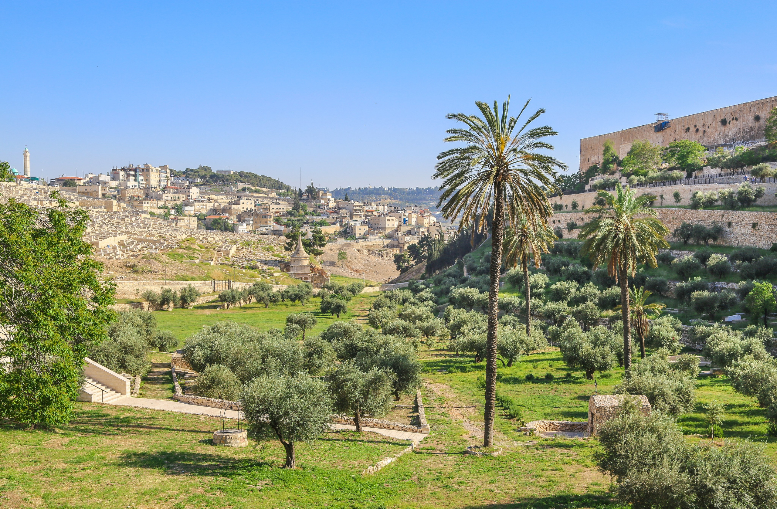 Израиль: Иерусалим. Дарья Письменюк / Darya Leitstern — фотограф, музыкант, журналист, путешественник