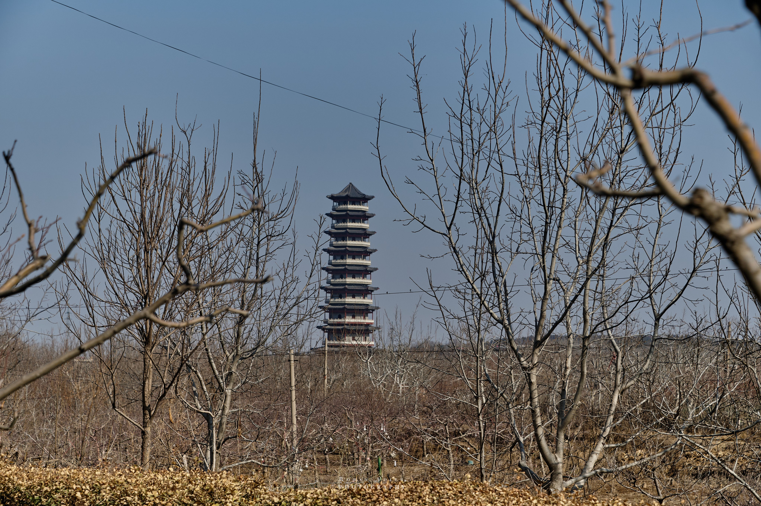 Храм Гуанфу (Процветания). Цинчжоу. Фотограф Роман Адлер