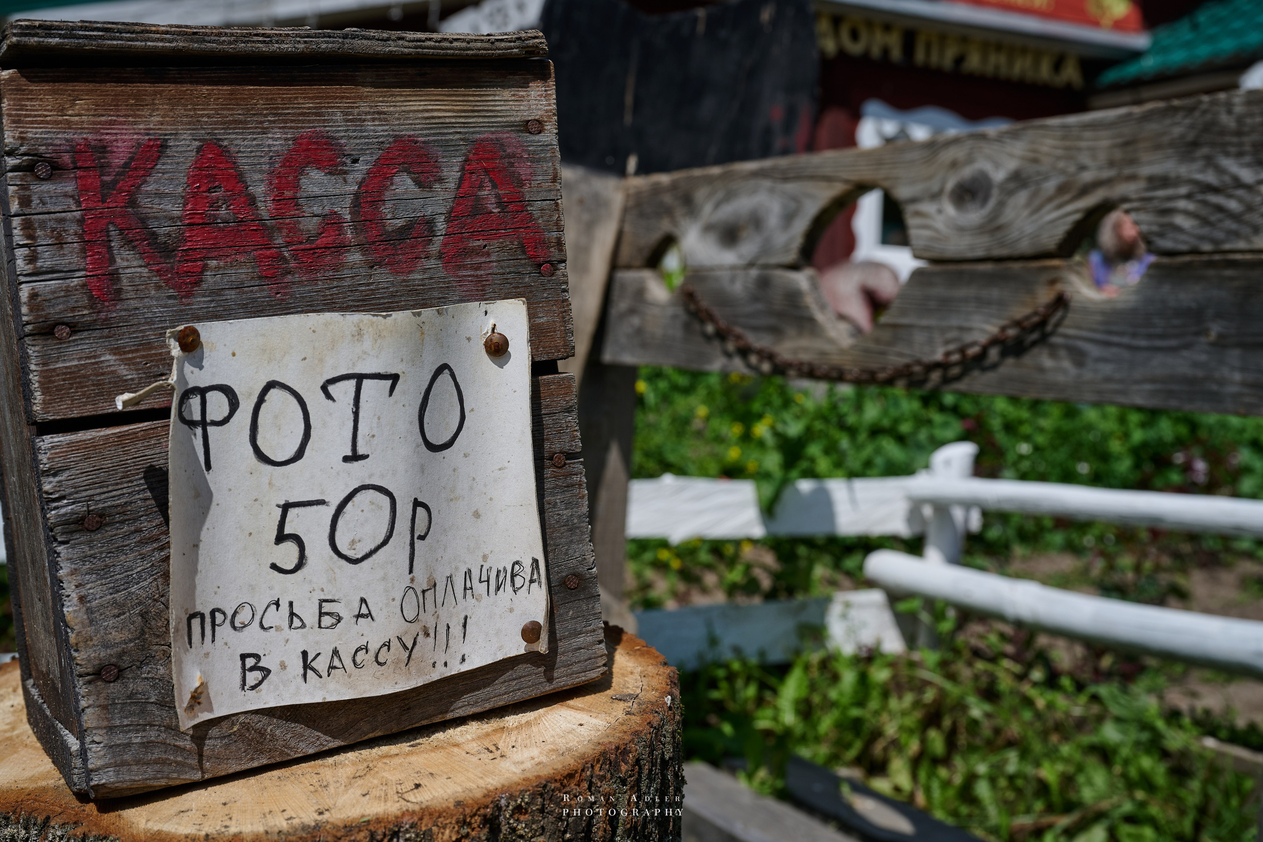 Суздаль. Июнь 2025. Фотограф Роман Адлер