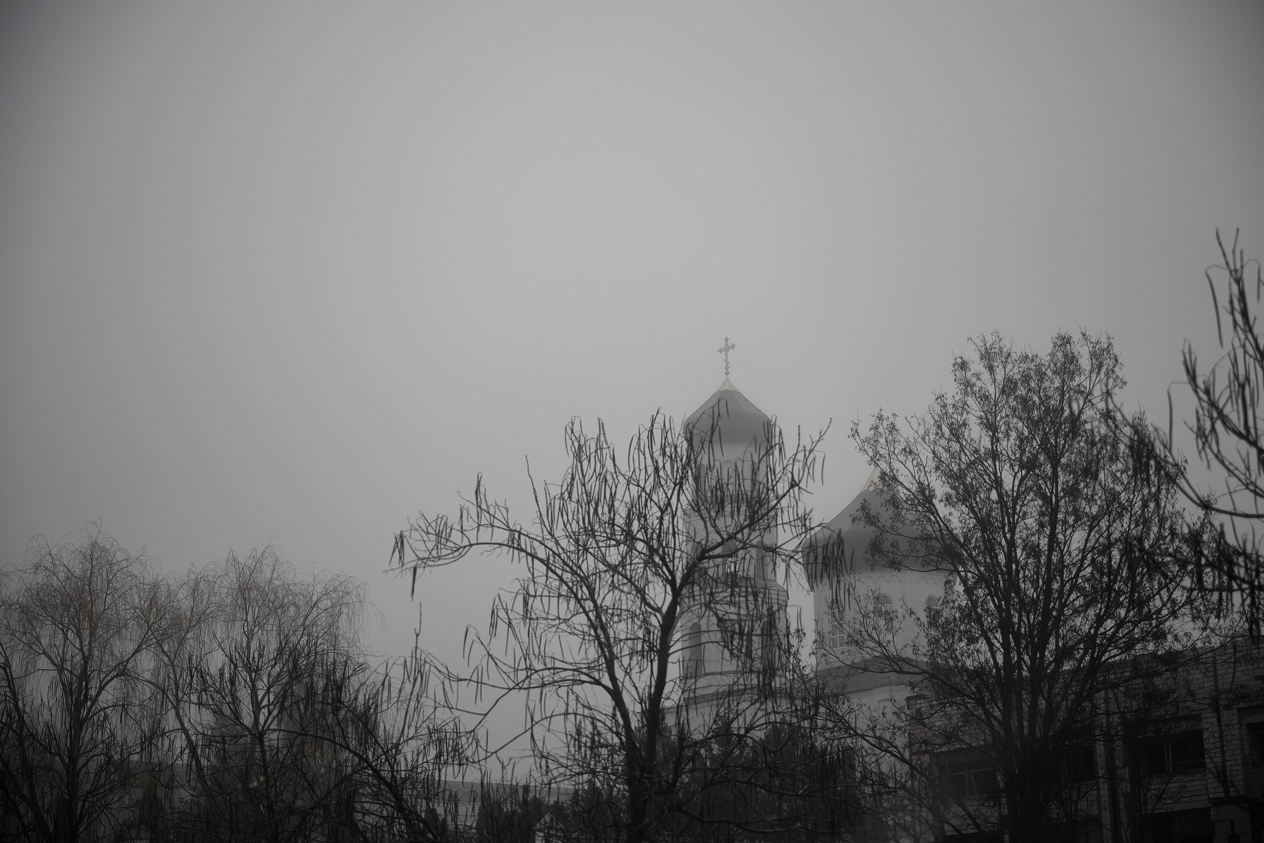 Дорога домой. Туман. Фотограф Роман Адлер