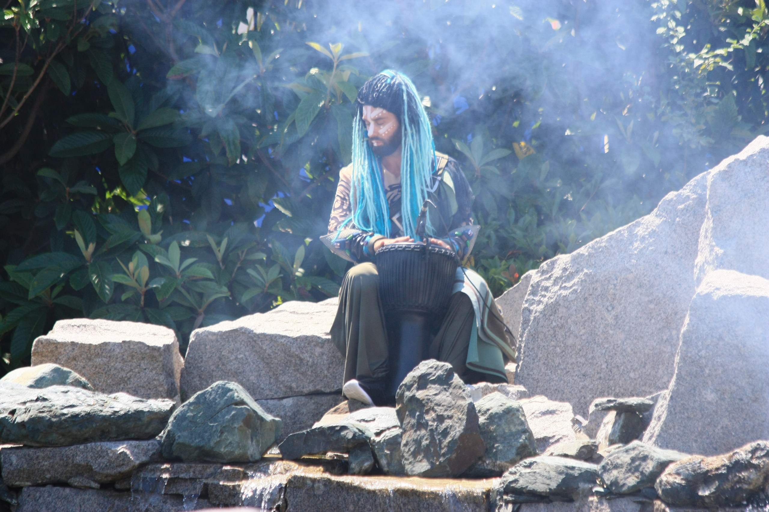 Первые кадры. Сочи — парк. Фотограф Роман Адлер