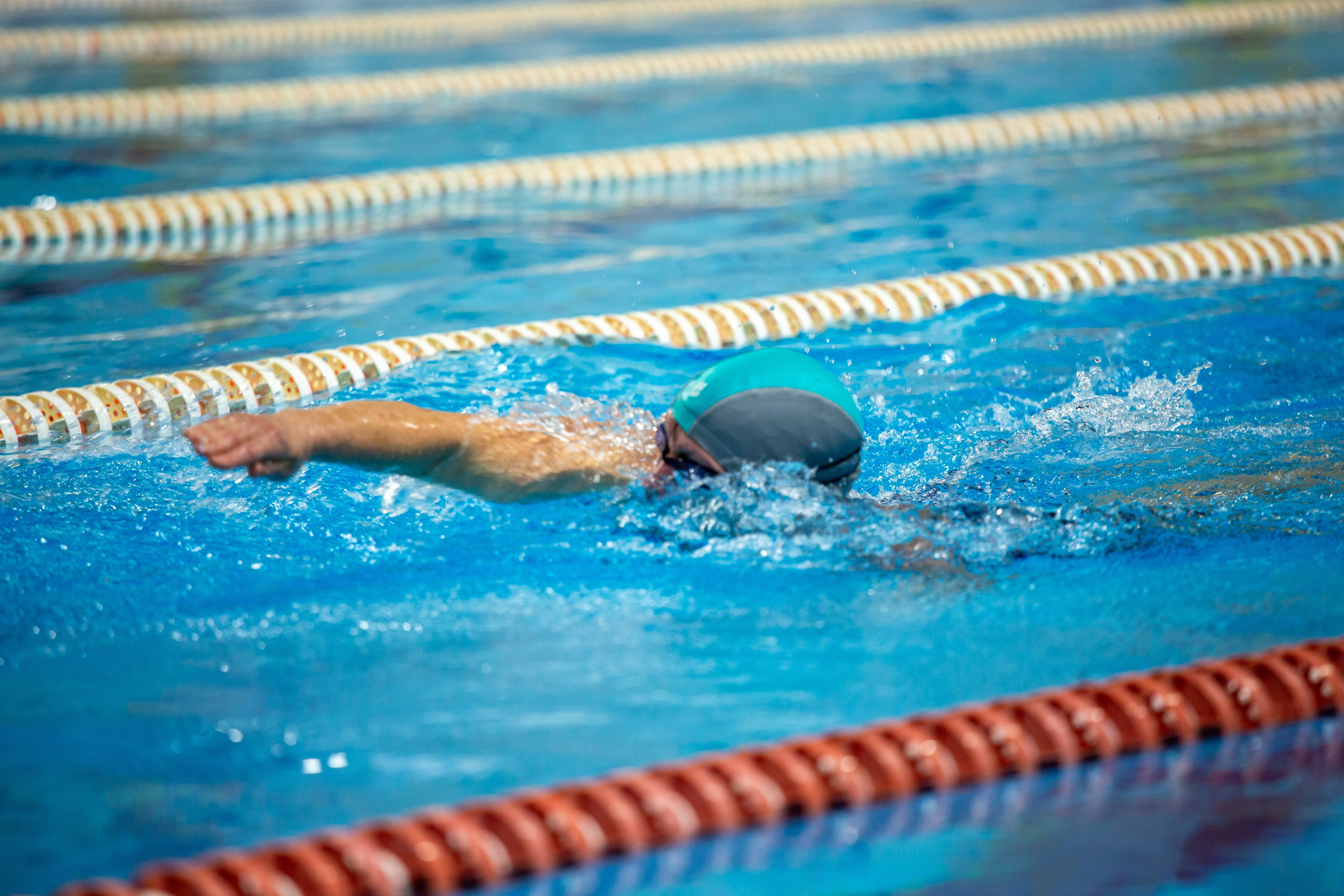 Турнир по плаванию. Репортажный, семейный, свадебный, портретный фотограф