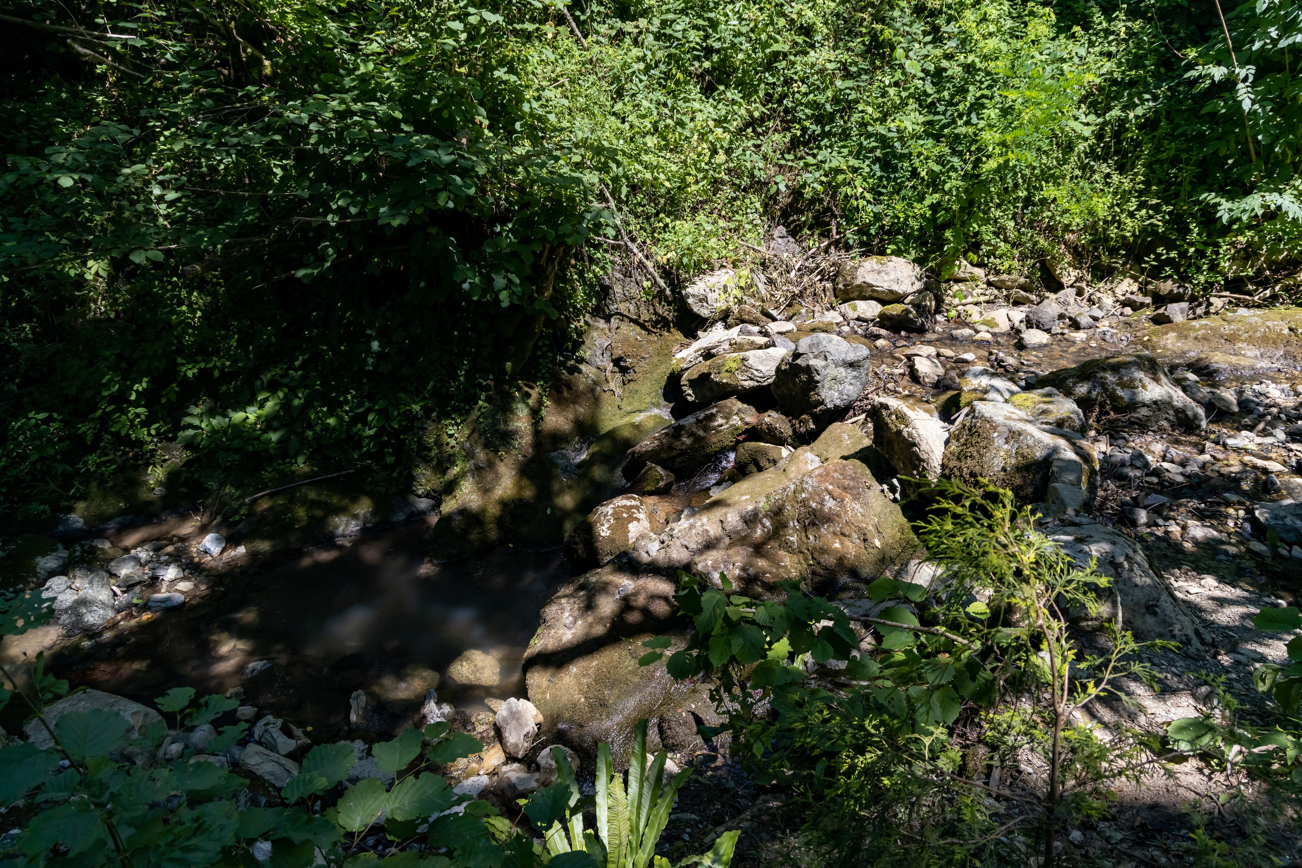 Сочи. Солох Аул. Репортажный, семейный и студийный фотограф в Москве Демин Алексей